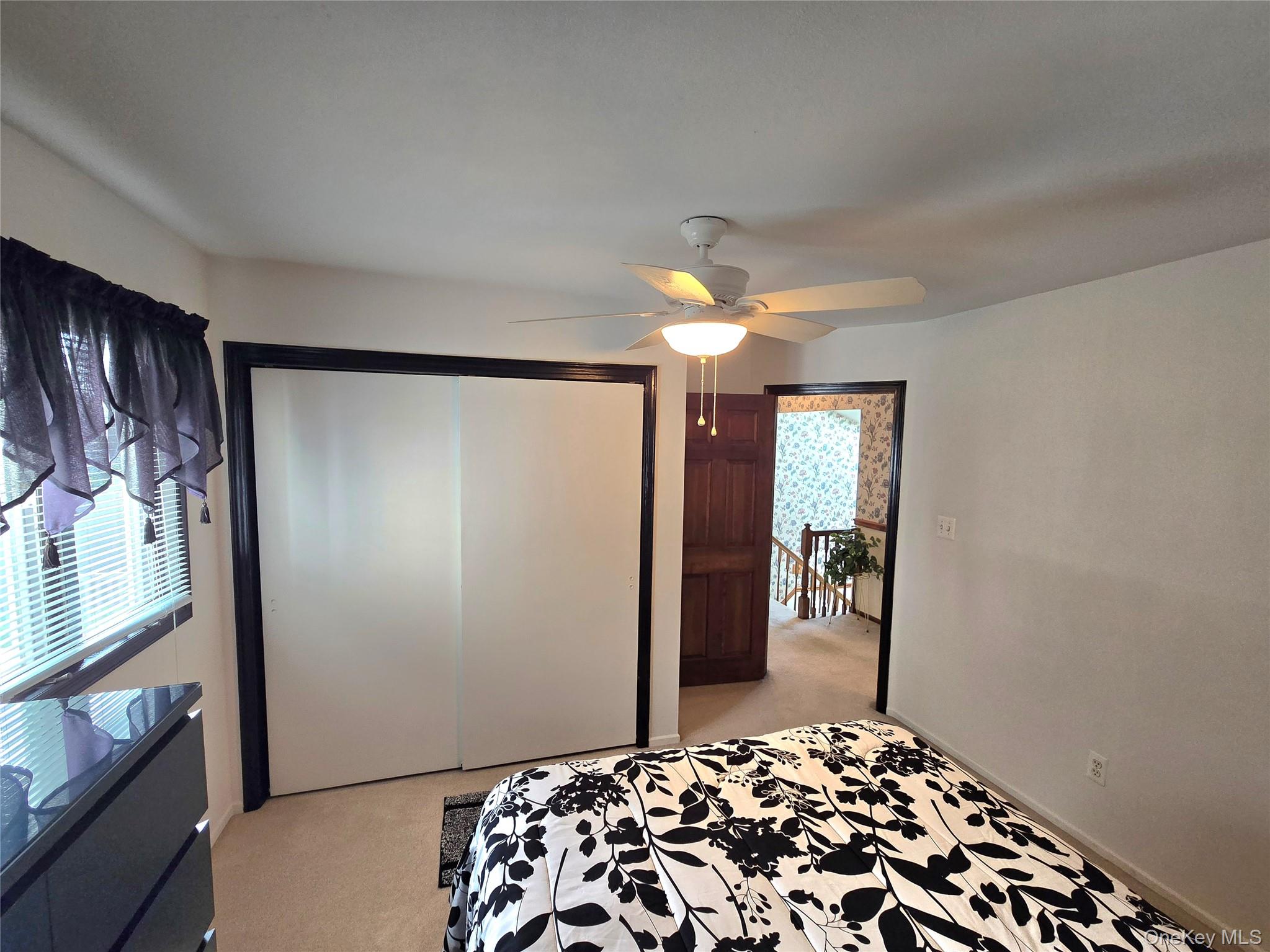 9 Milton Street Property Photo 22