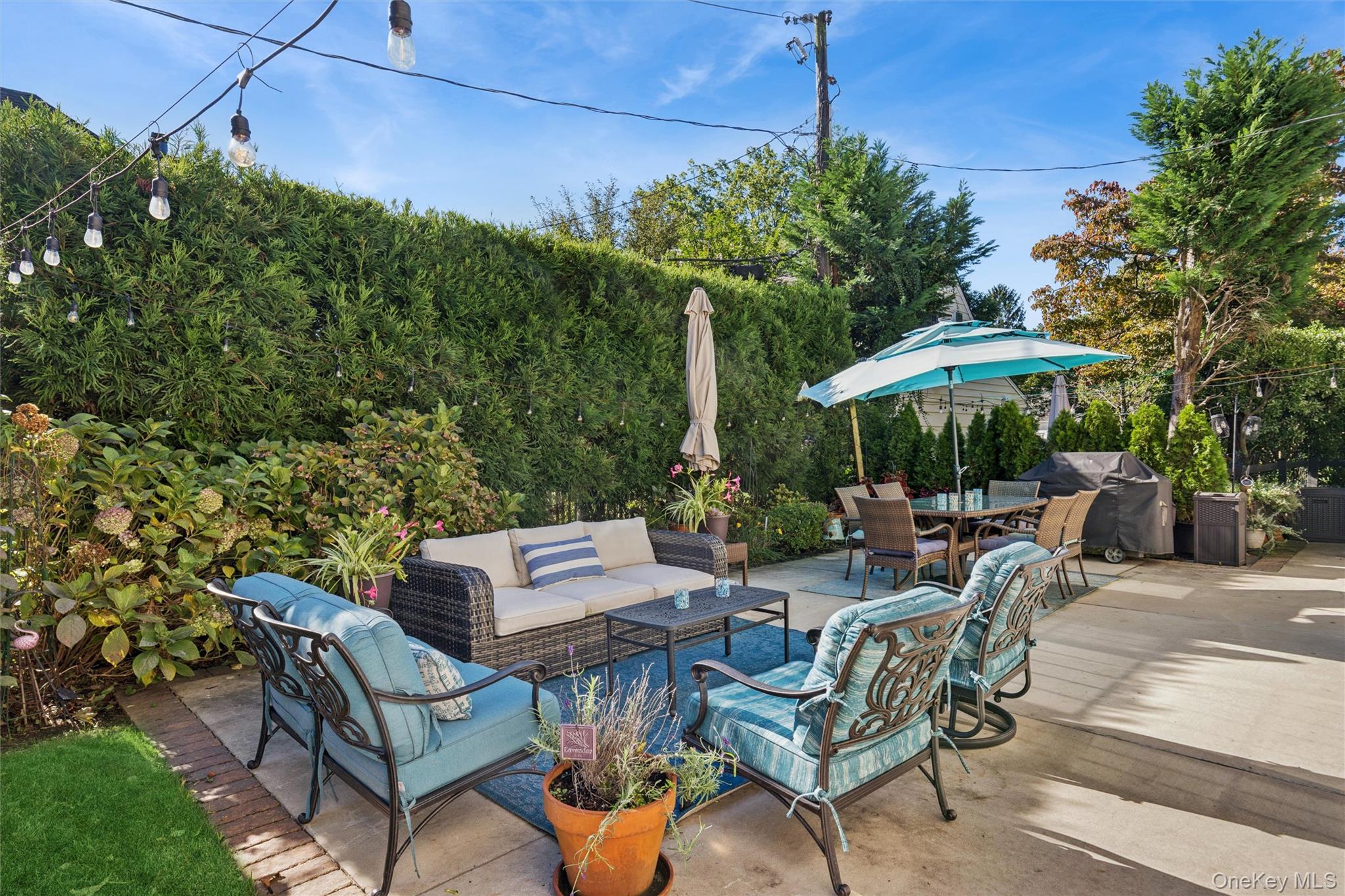 6 6th Place Property Photo 29