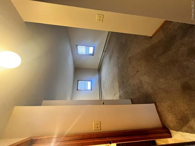 5 New Paltz Rd B Property Photo 12