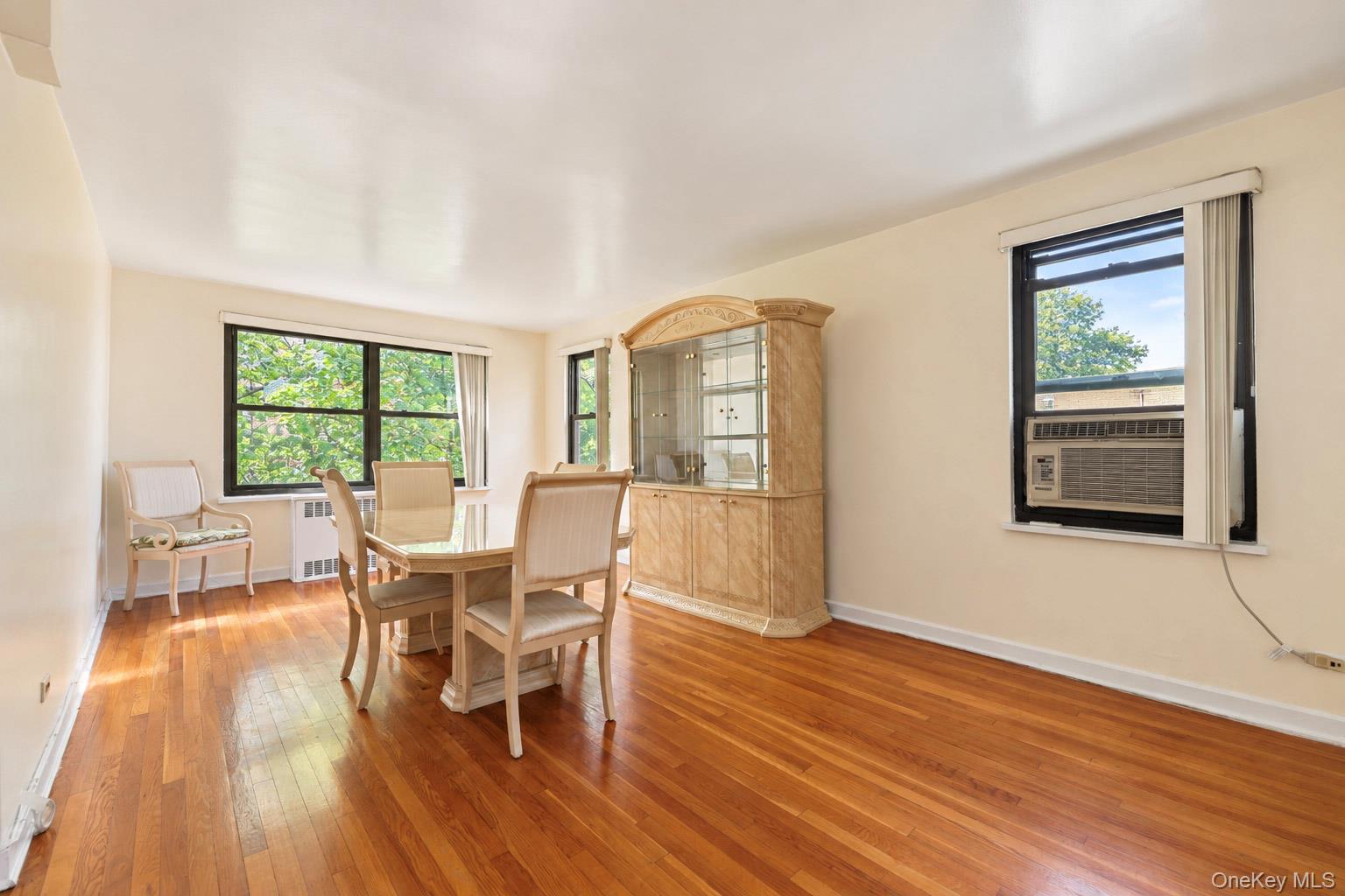 151 E Hartsdale Avenue 2b Property Photo 9