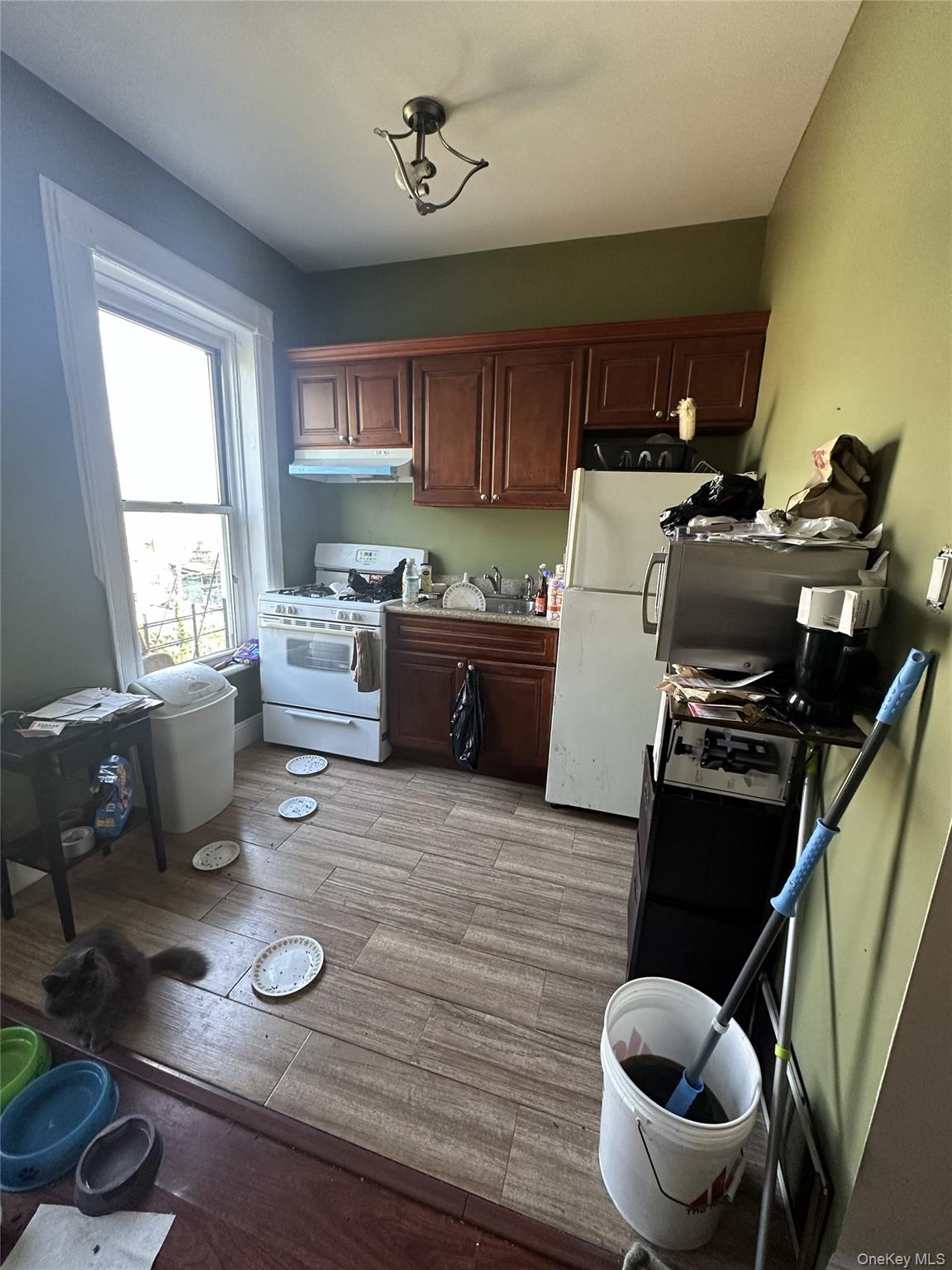 345 57th Street Property Photo 6