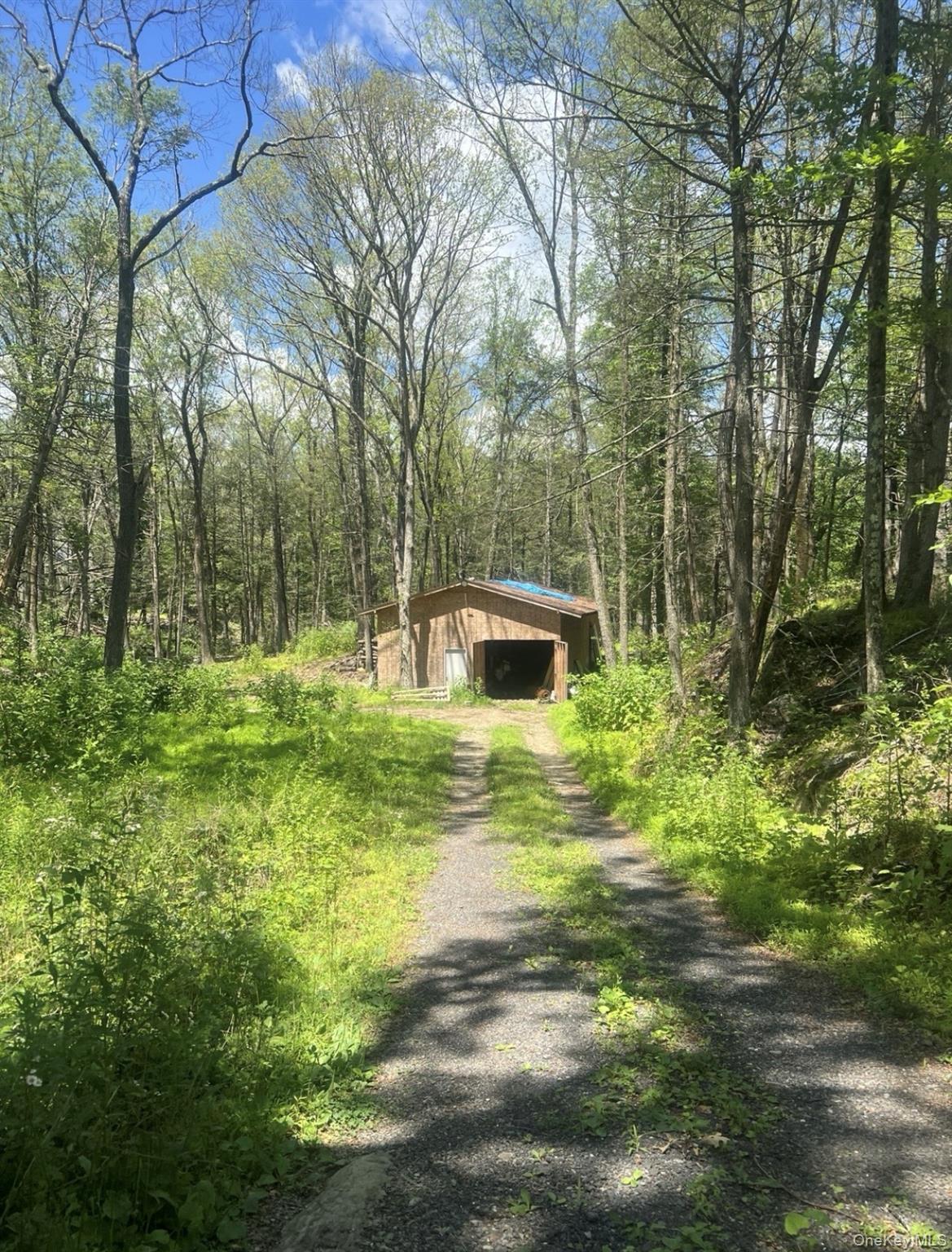 107 Pine Hill Road Property Photo 14