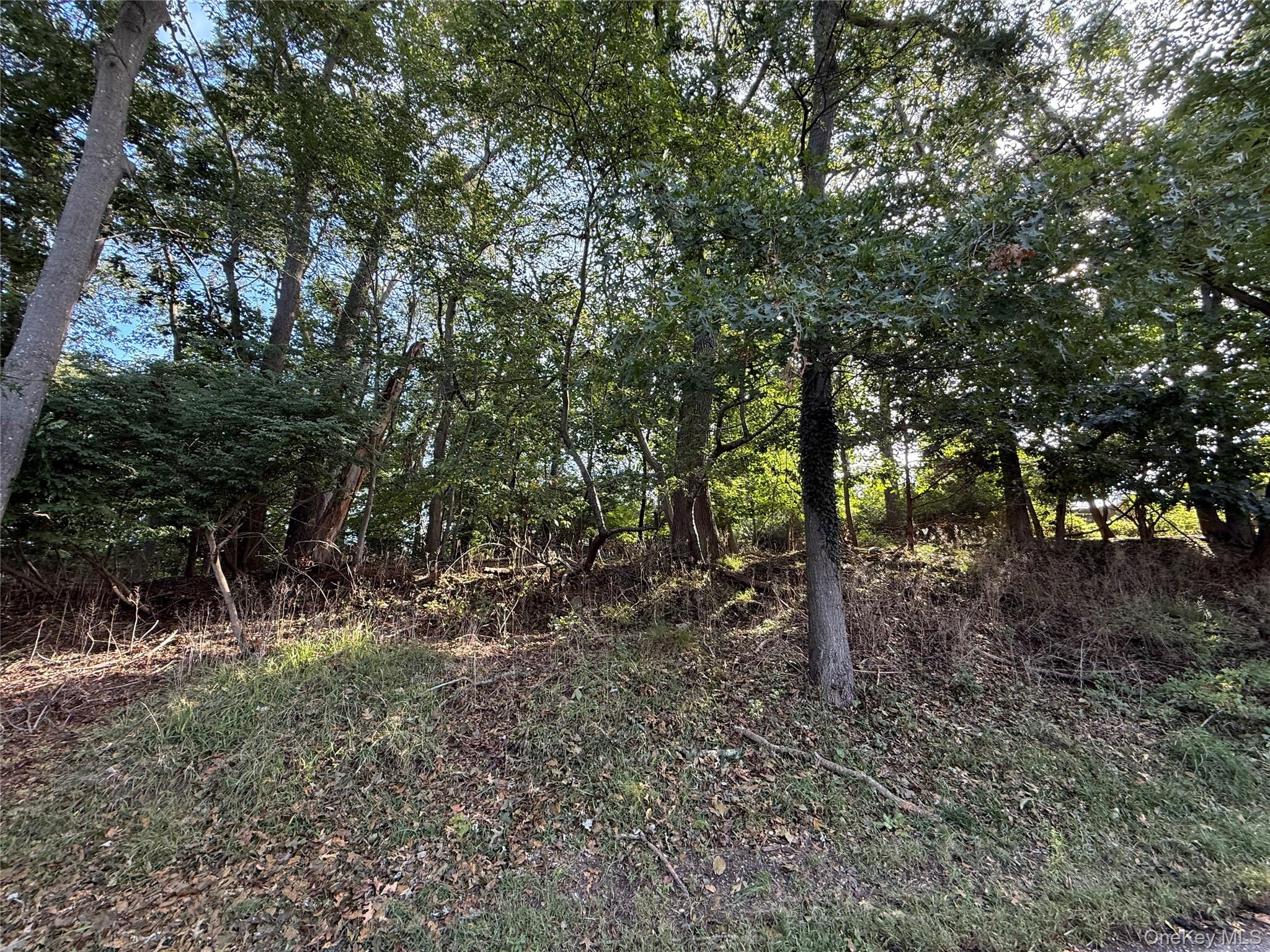 156 Maple Road Property Photo 1