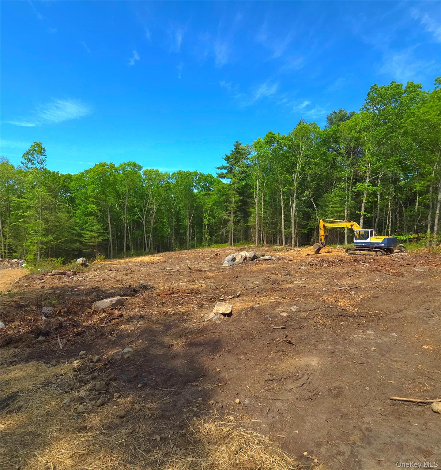 1027 Pine Kill Road Property Photo 1