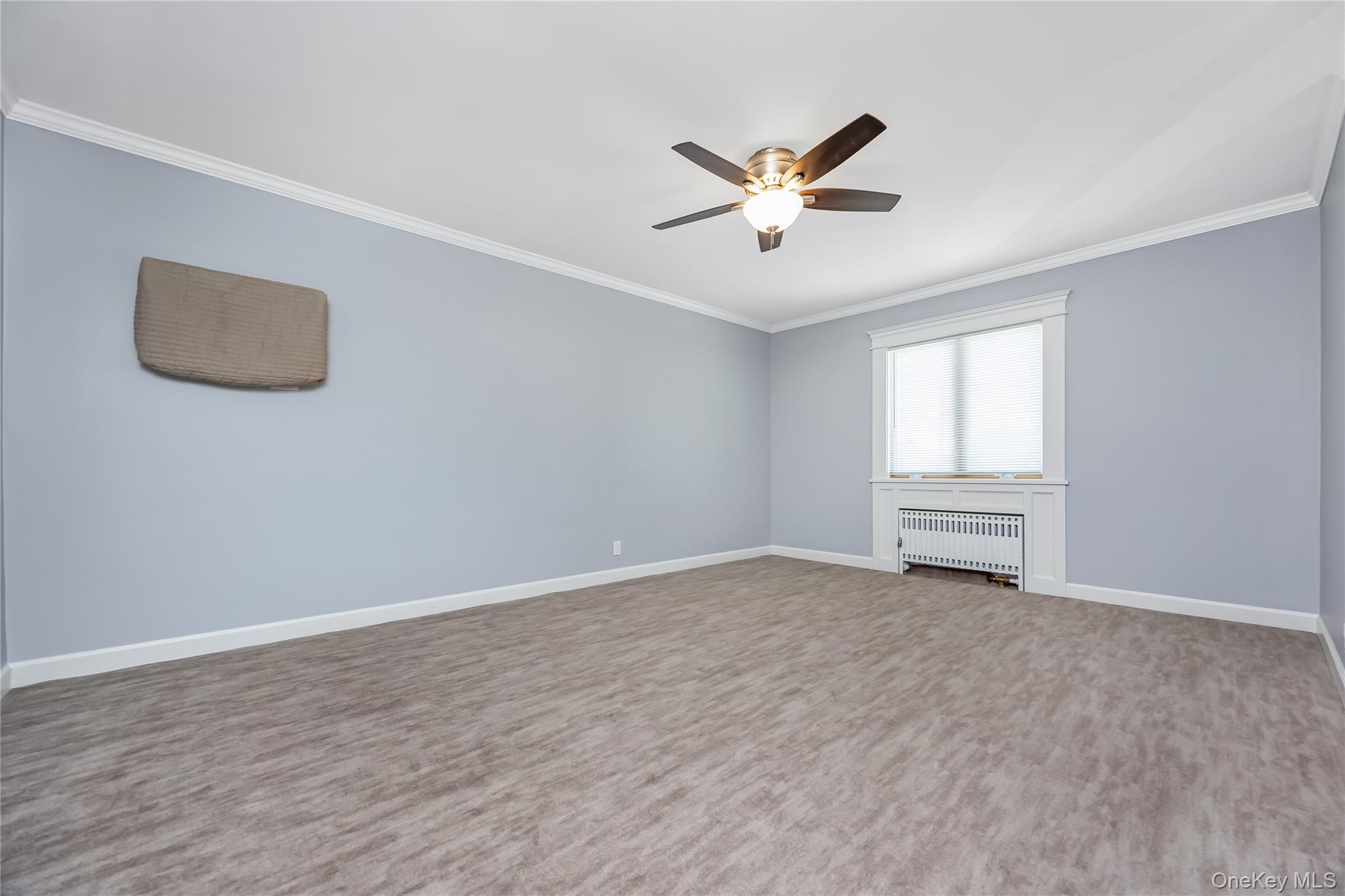 149-27 Lefferts Boulevard Property Photo 21