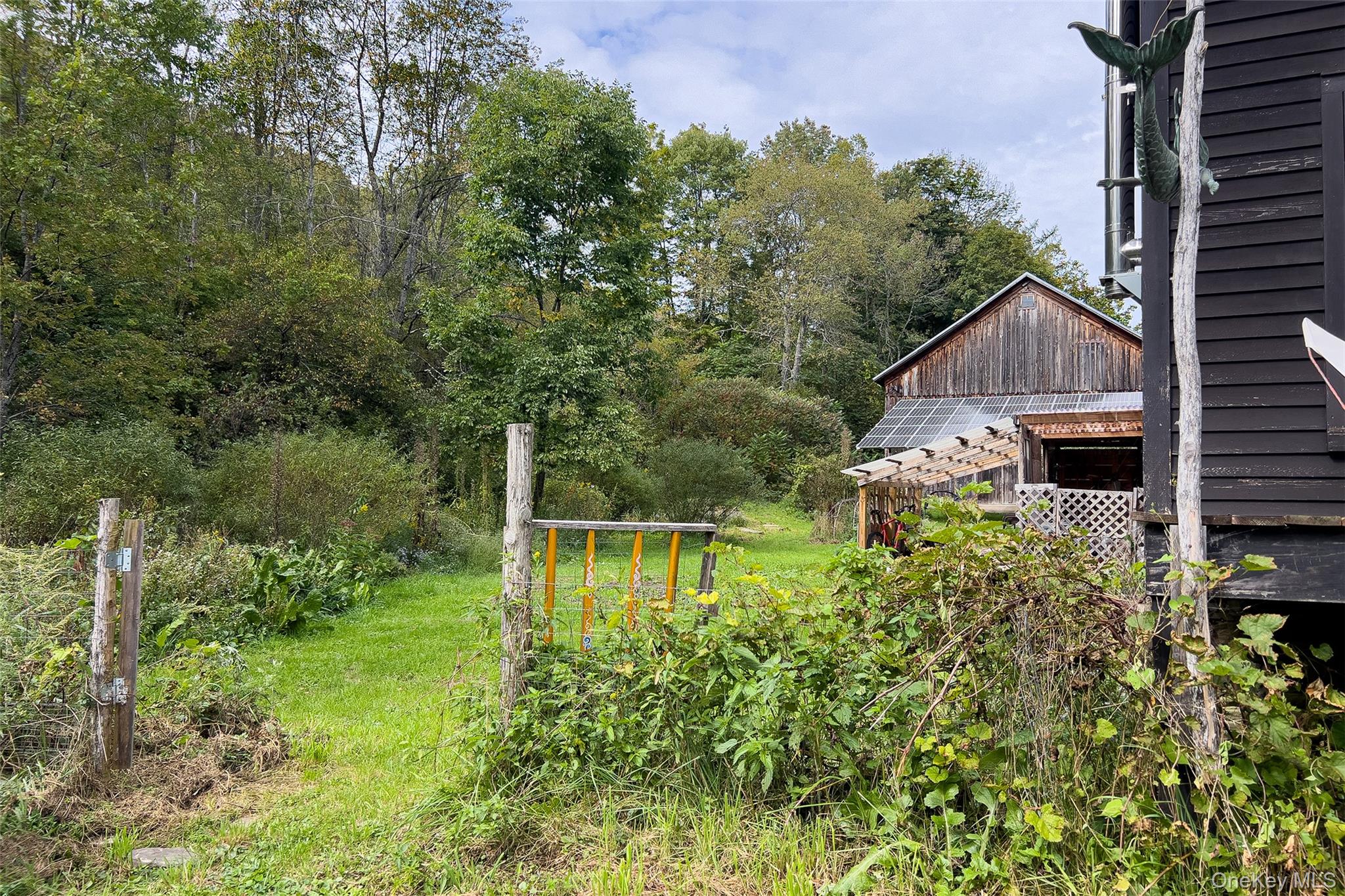 1685 Dry Brook Road Property Photo 46