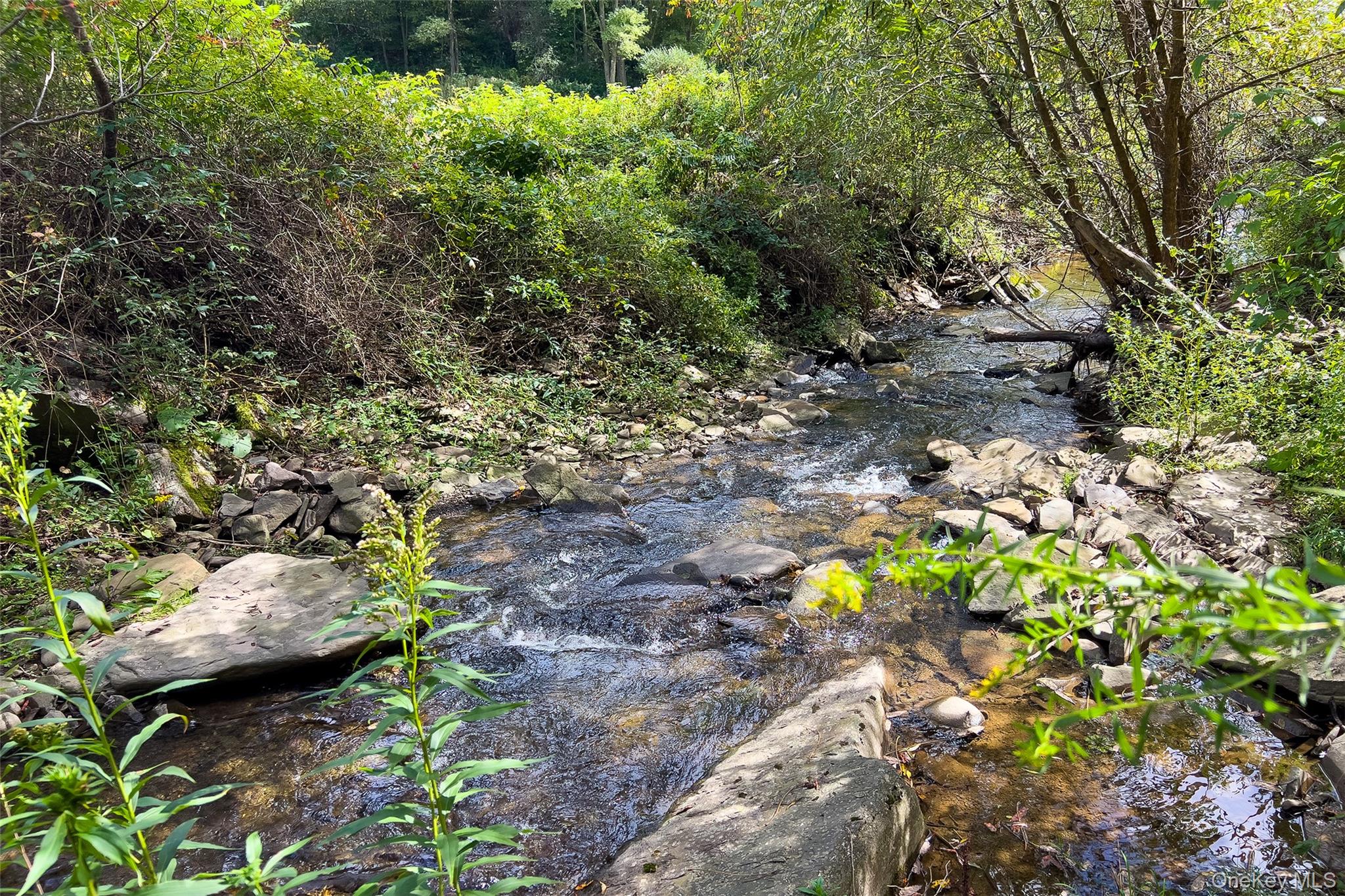 1685 Dry Brook Road Property Photo 47