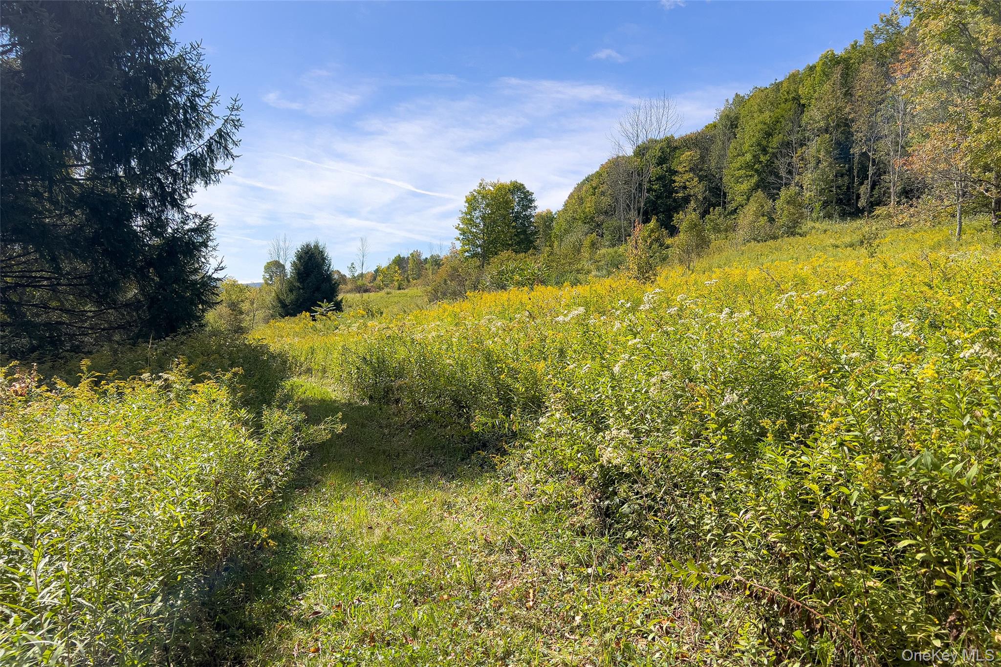 1685 Dry Brook Road Property Photo 48