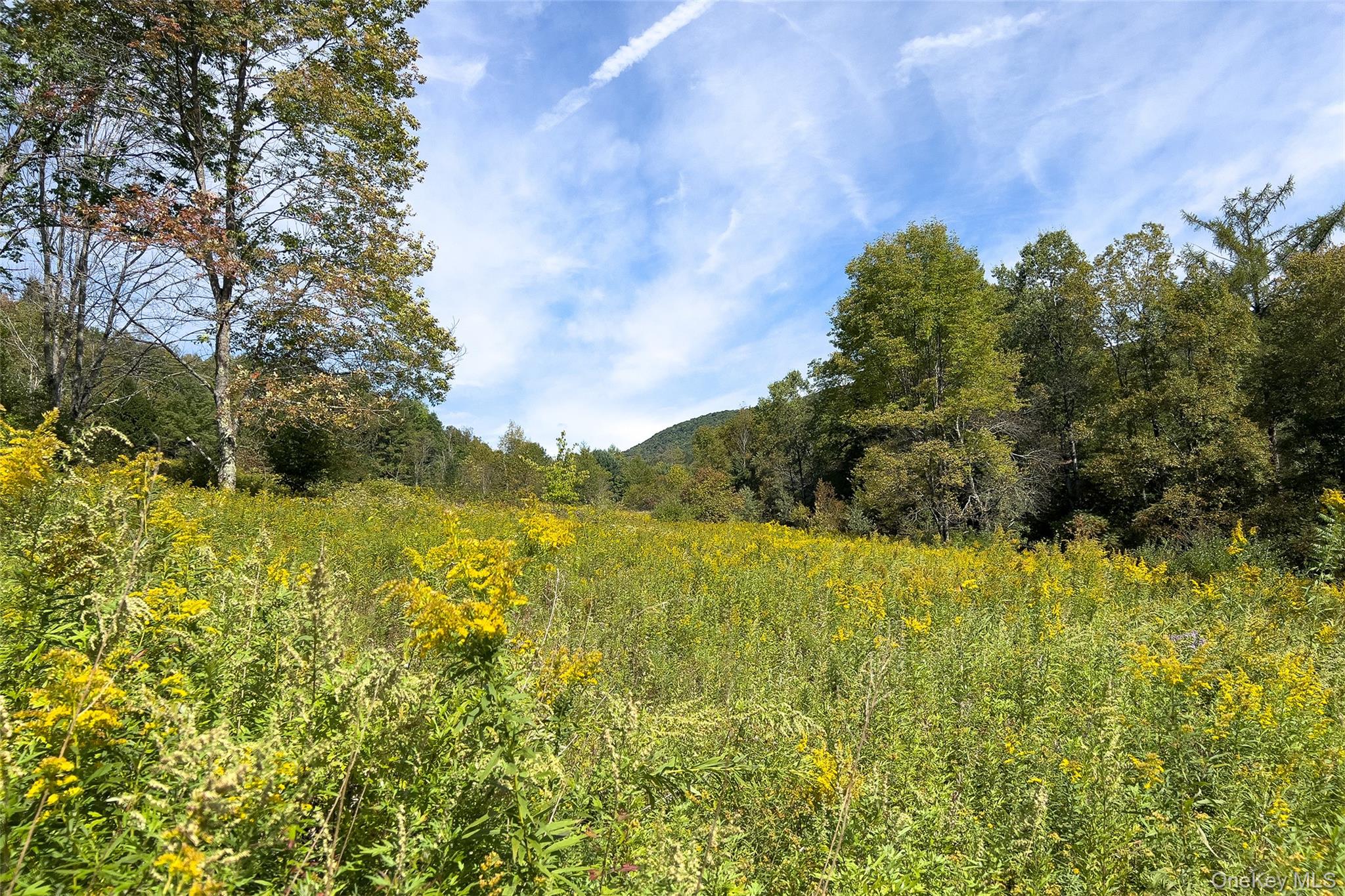 1685 Dry Brook Road Property Photo 49