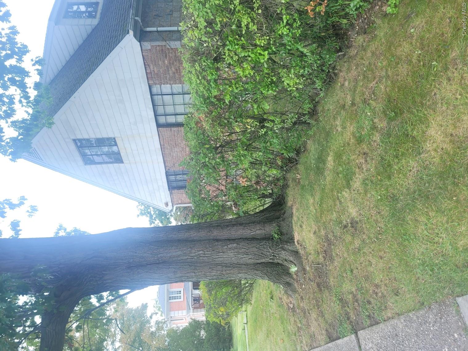 8144 168th Street Property Photo 5