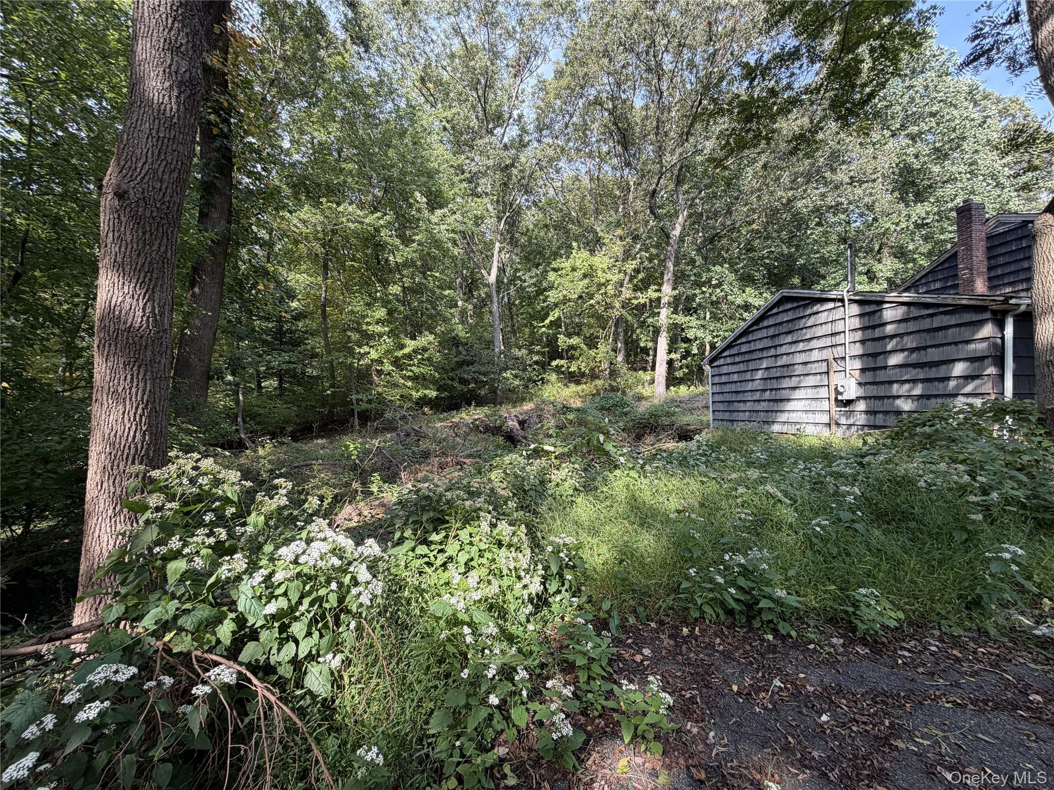 15 Tiffany Road Property Photo 5