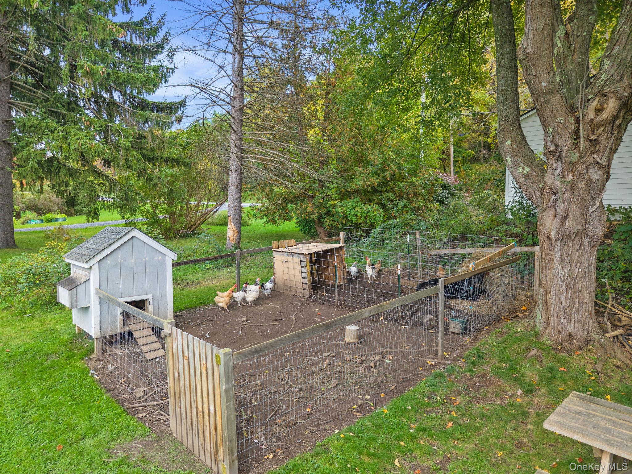 719 Mineral Springs Rd, Cobleskill Ny Property Photo 35