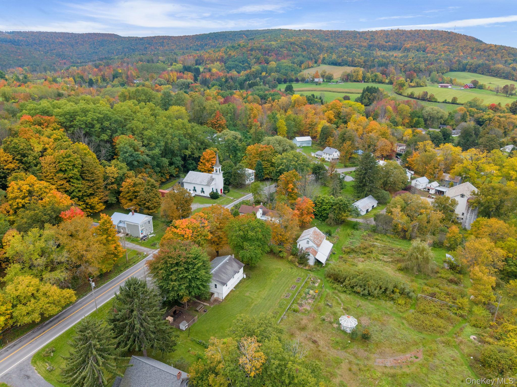 719 Mineral Springs Rd, Cobleskill Ny Property Photo 41