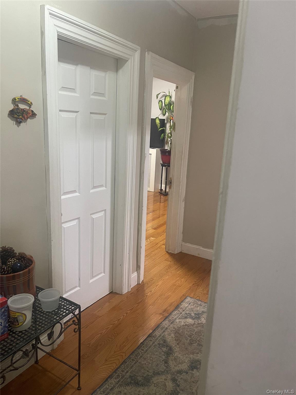 49 Park Place Property Photo 15