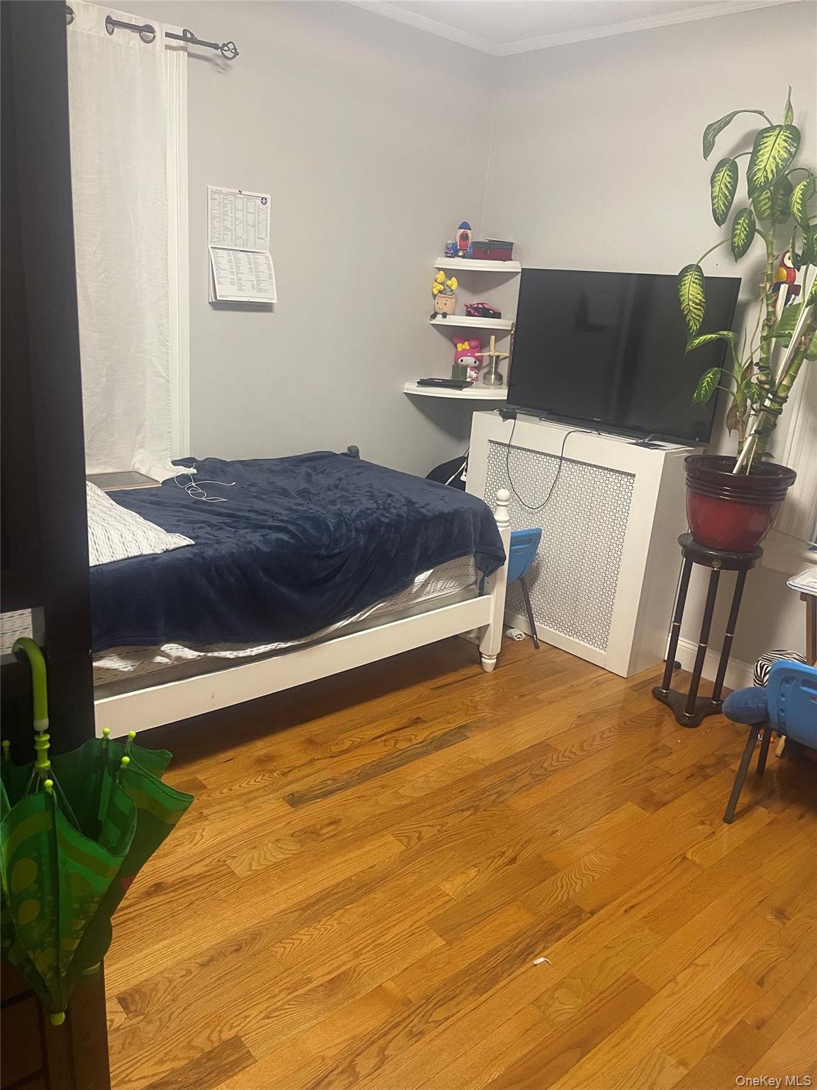 49 Park Place Property Photo 17