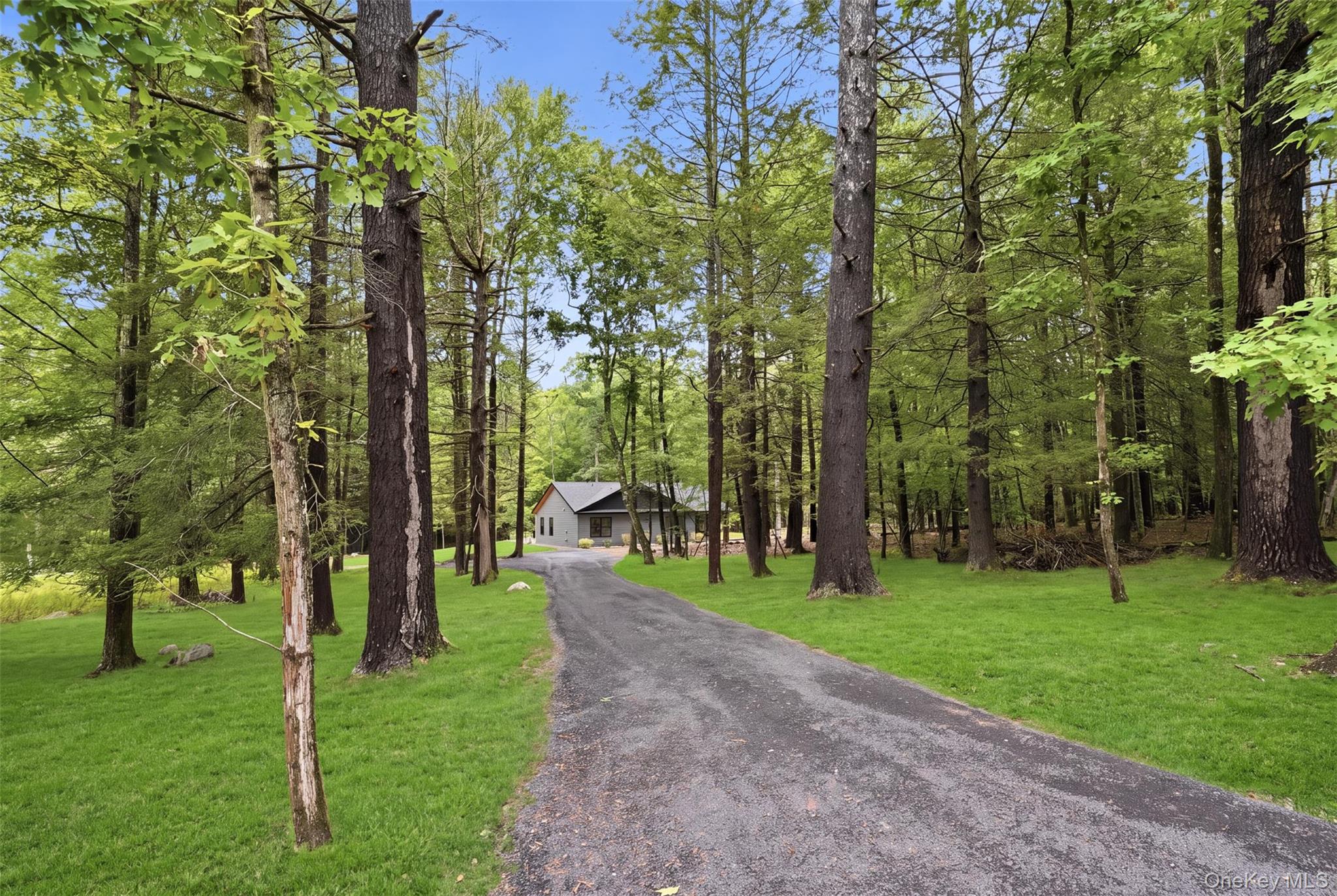 493 Samsonville Road Property Photo 28