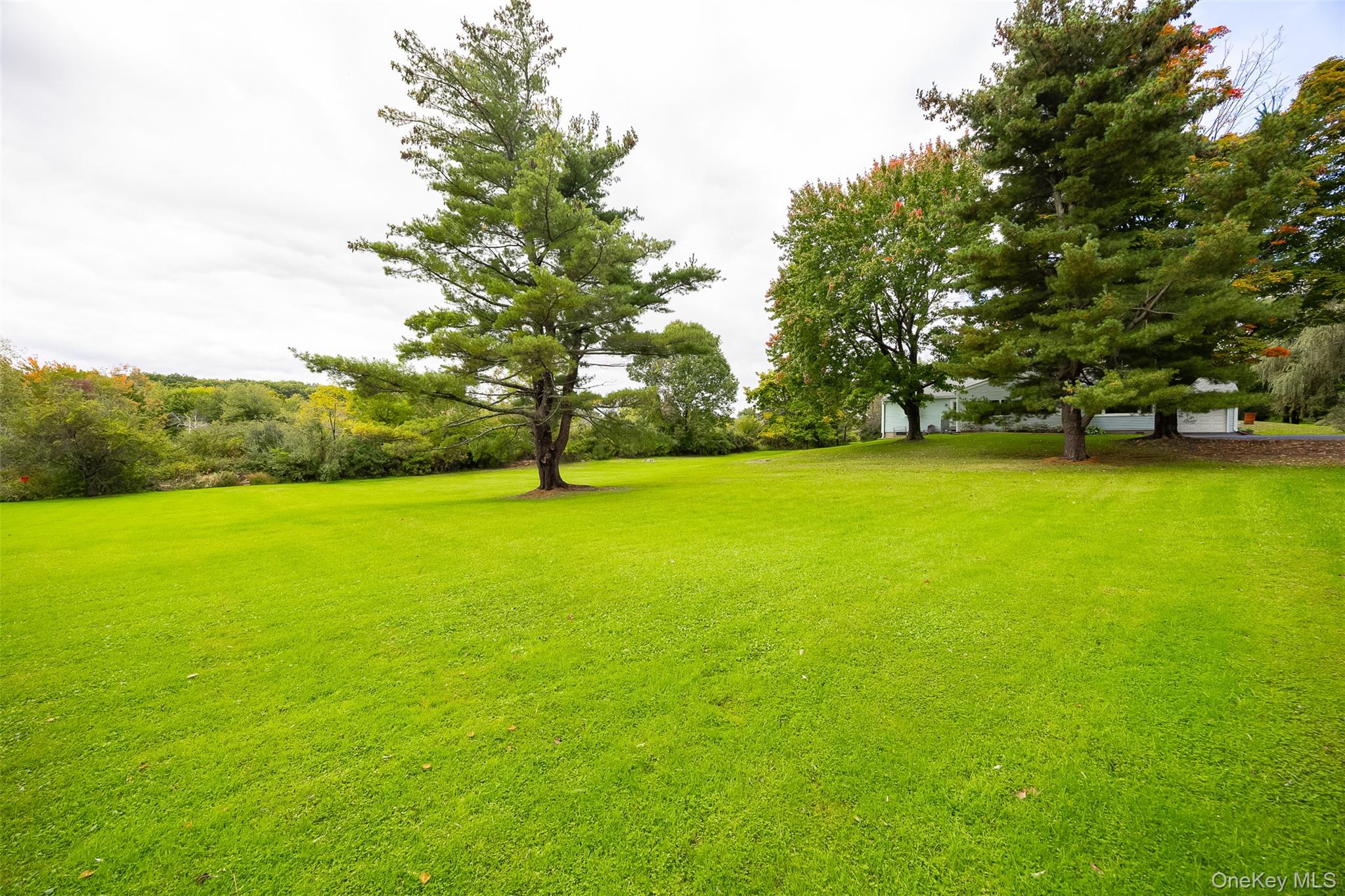 11 Bloomer Road Property Photo 25
