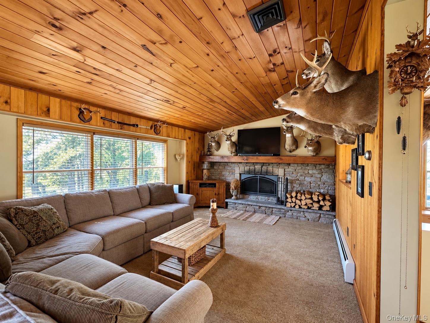 258 Lobdell Mill Road Property Photo 12