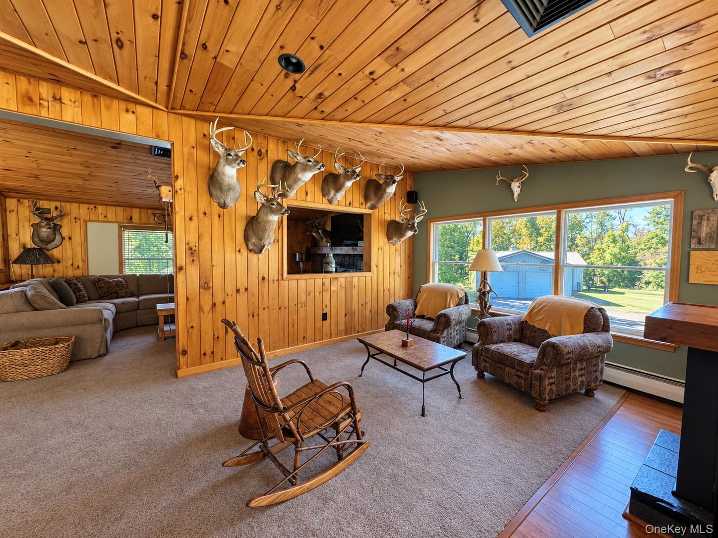 258 Lobdell Mill Road Property Photo 16