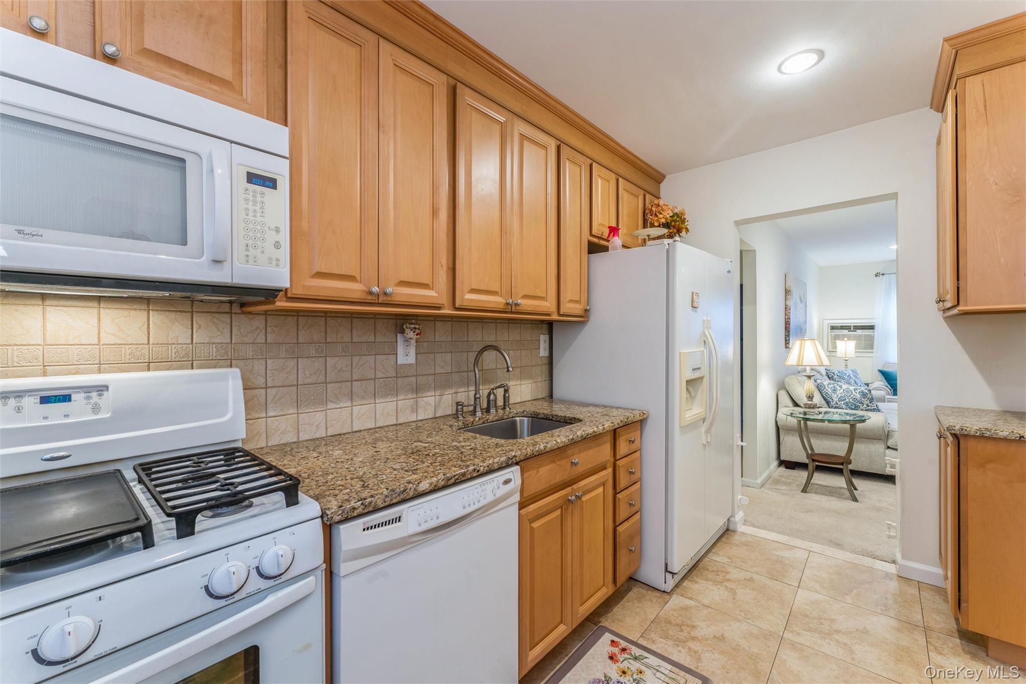 244-25 57th Drive 6g Lower Property Photo 11