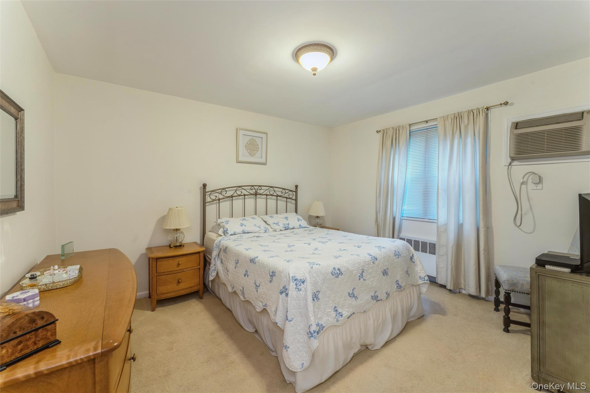 244-25 57th Drive 6g Lower Property Photo 12