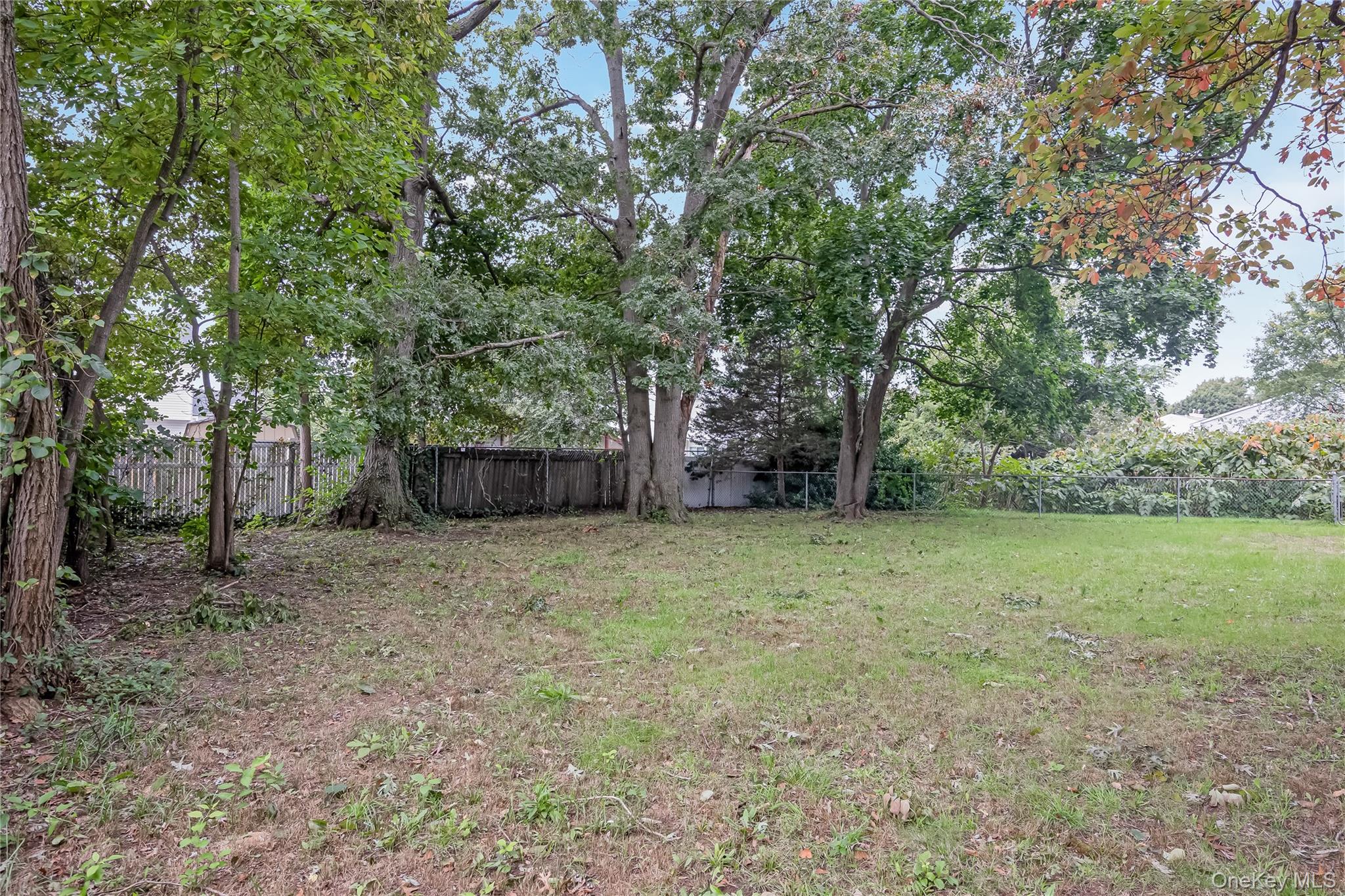 1182 E 3rd Avenue Property Photo 27