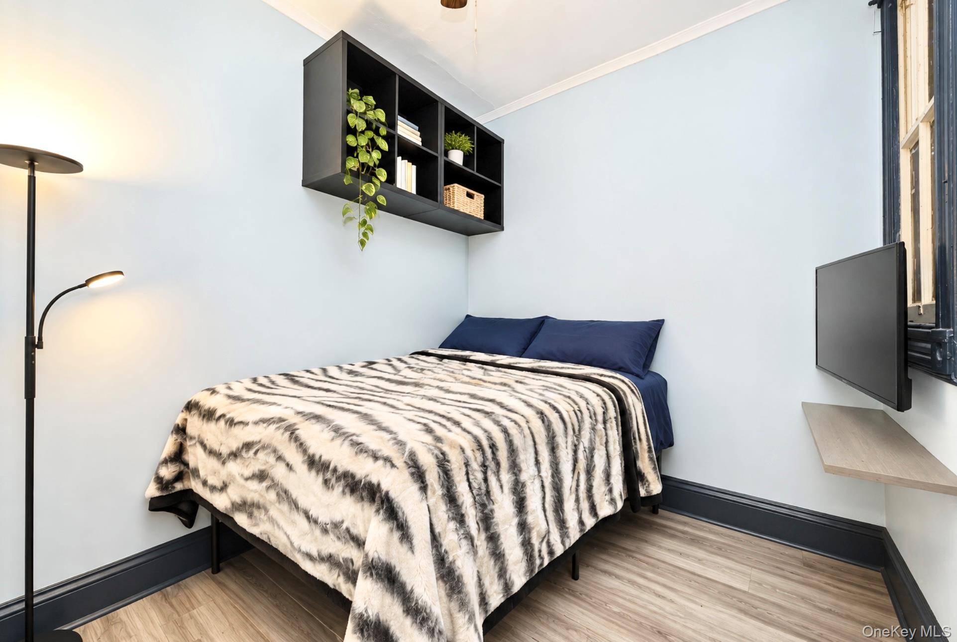 107 Moffat Street Property Photo 7