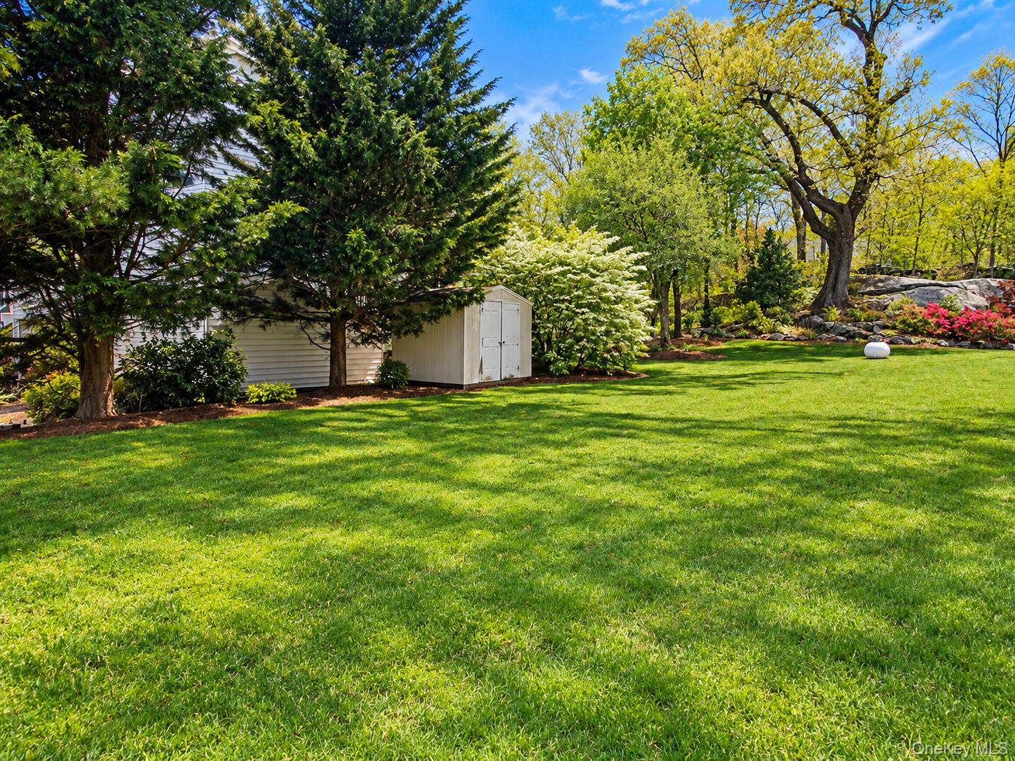 153 Highview Street Property Photo 4