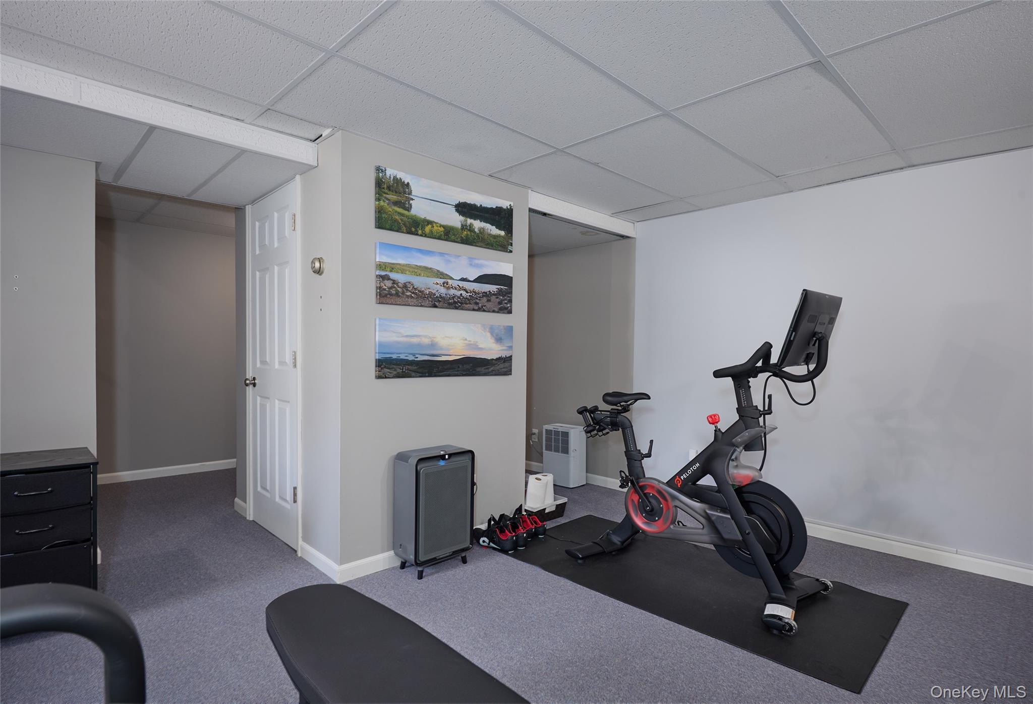 3 Woodside Terrace Property Photo 41