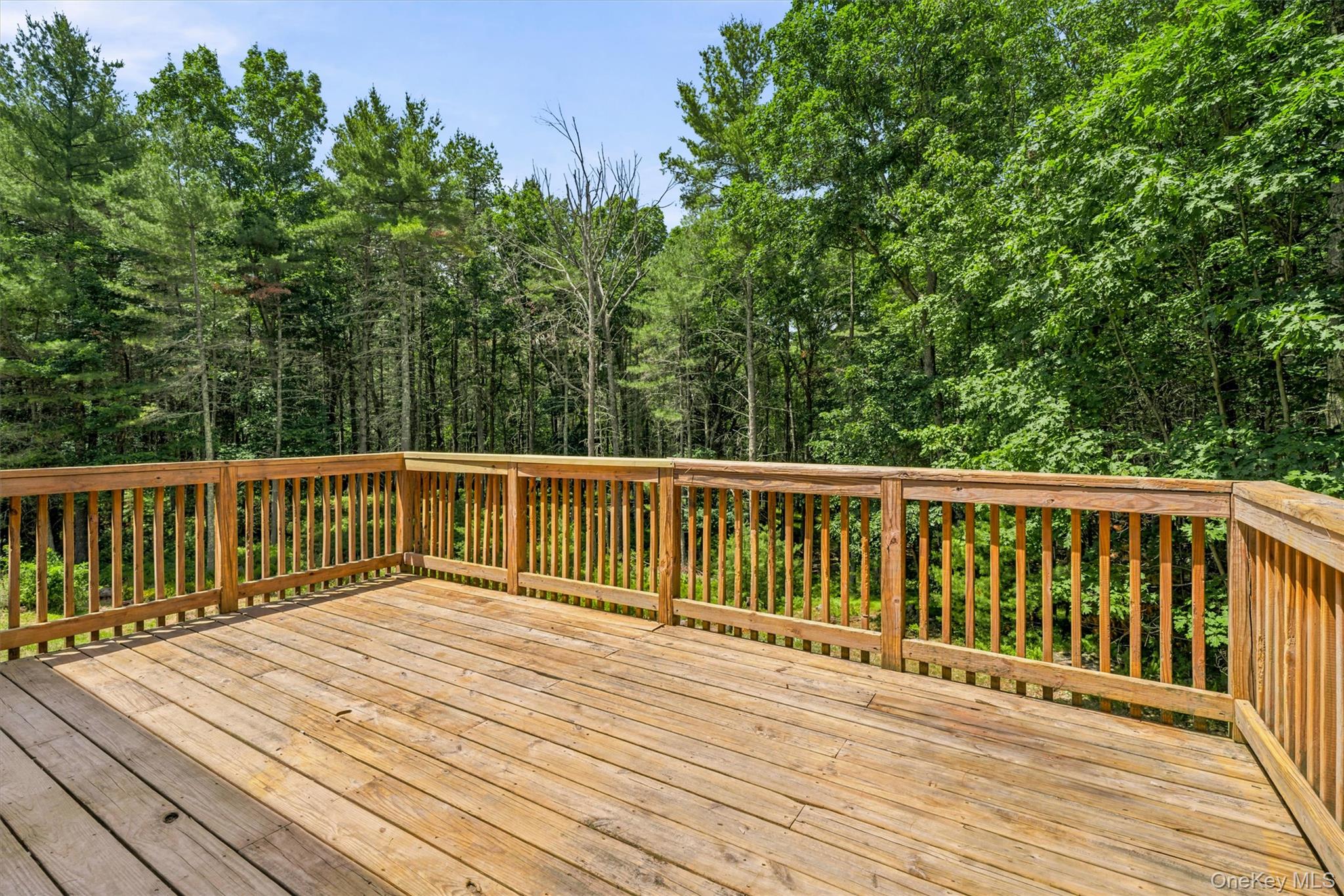 142 Split Rock Drive Property Photo 19