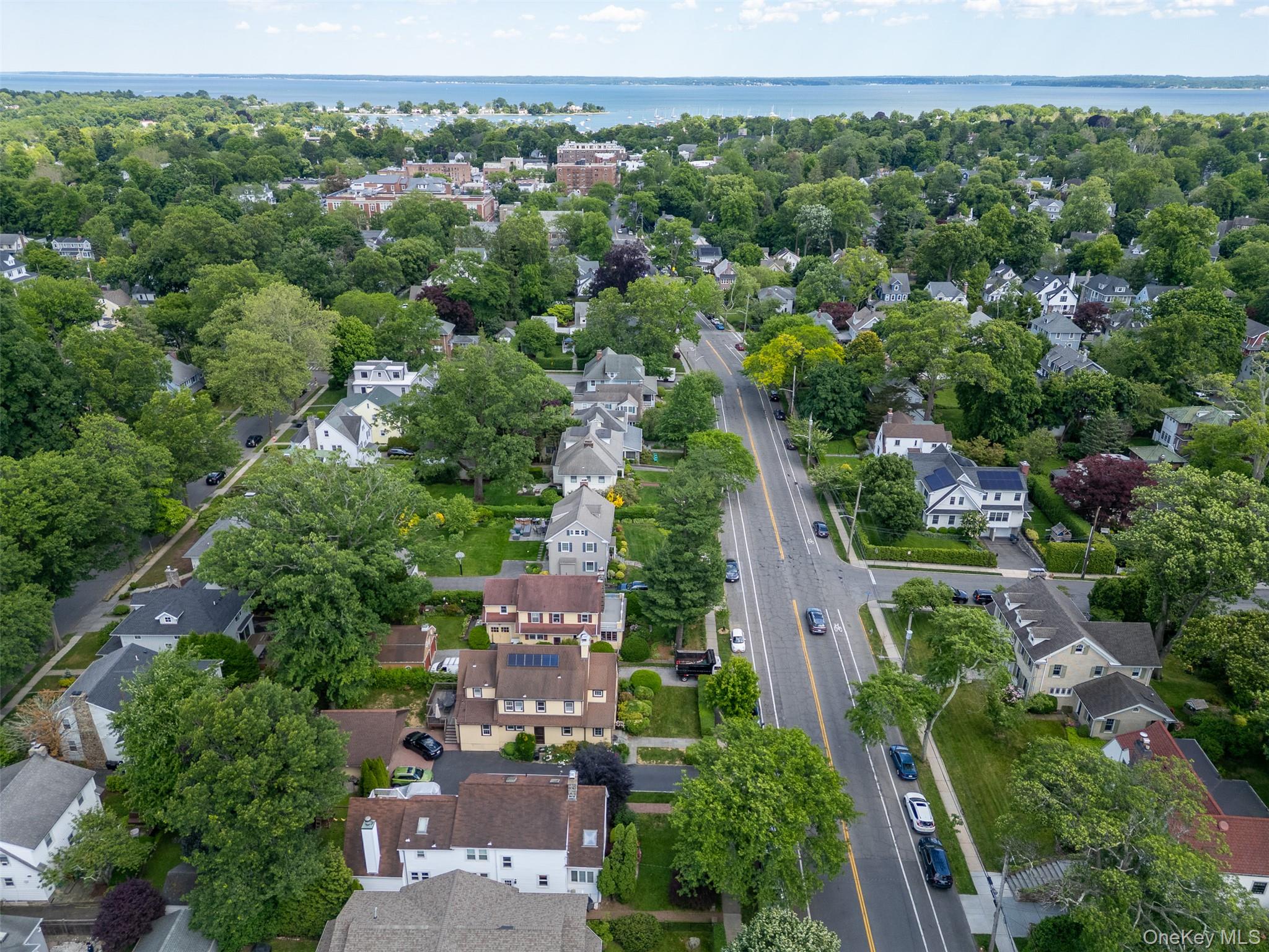 217 Larchmont Avenue Property Photo 2