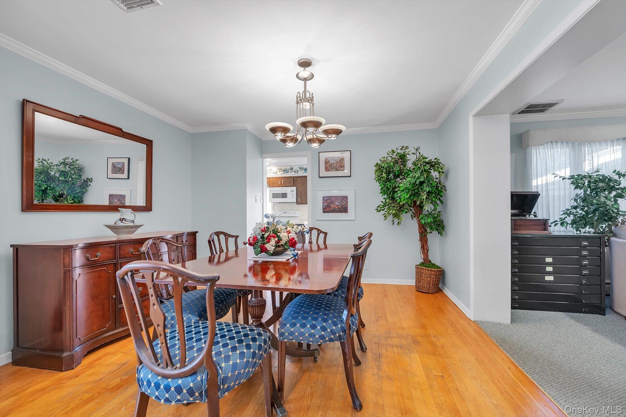 17 Joseph Street Property Photo 6