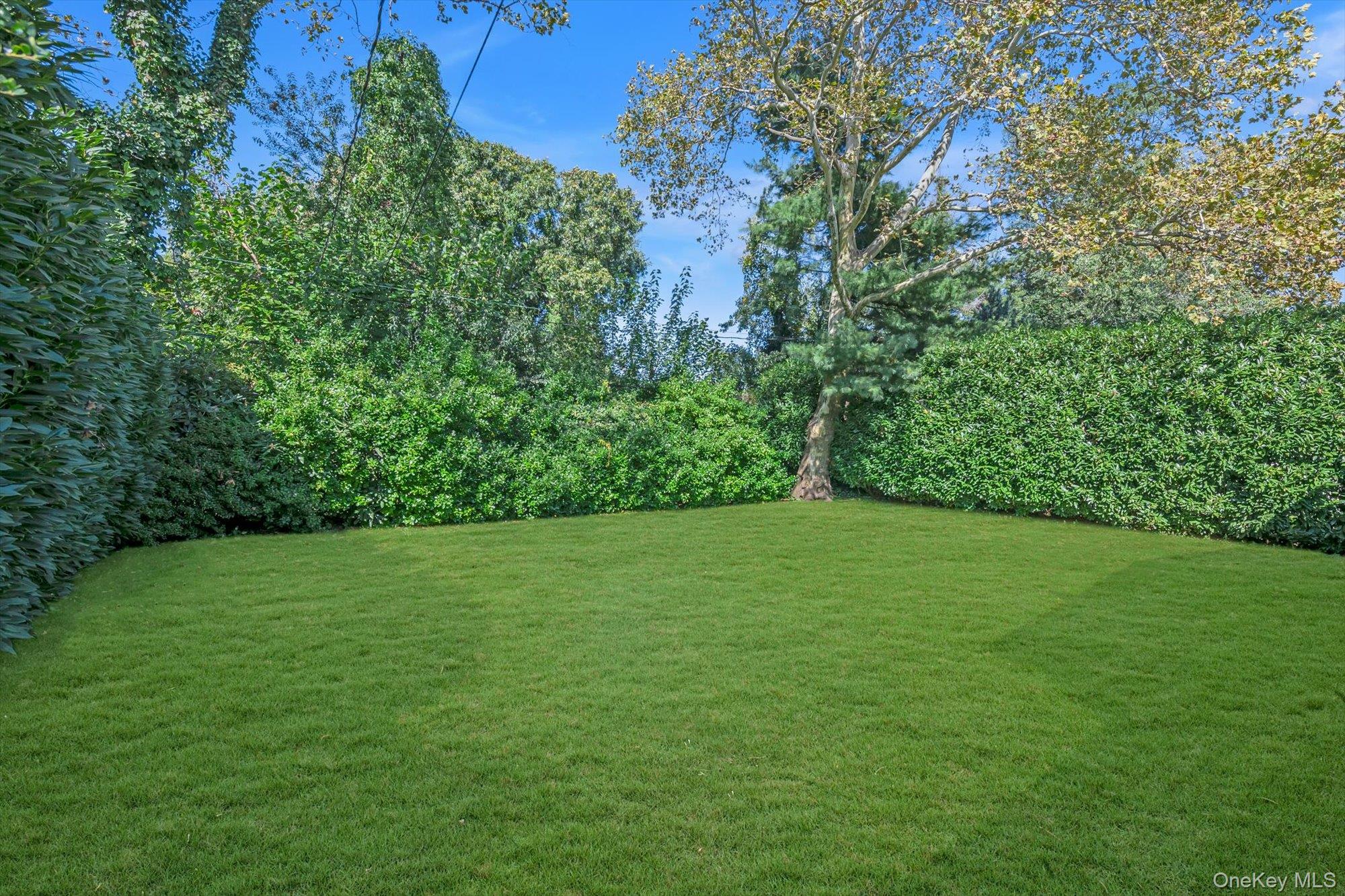 17 Joseph Street Property Photo 20