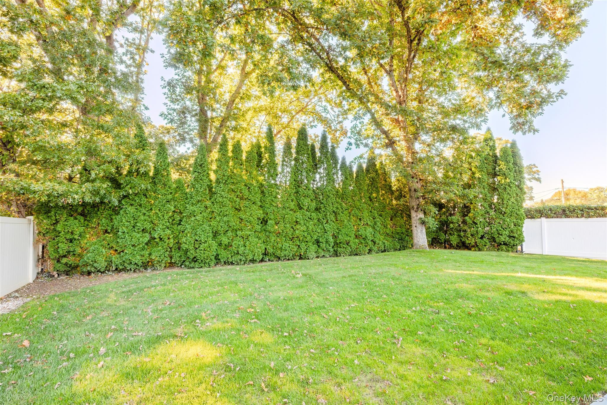 24 Kingswood Drive Property Photo 39