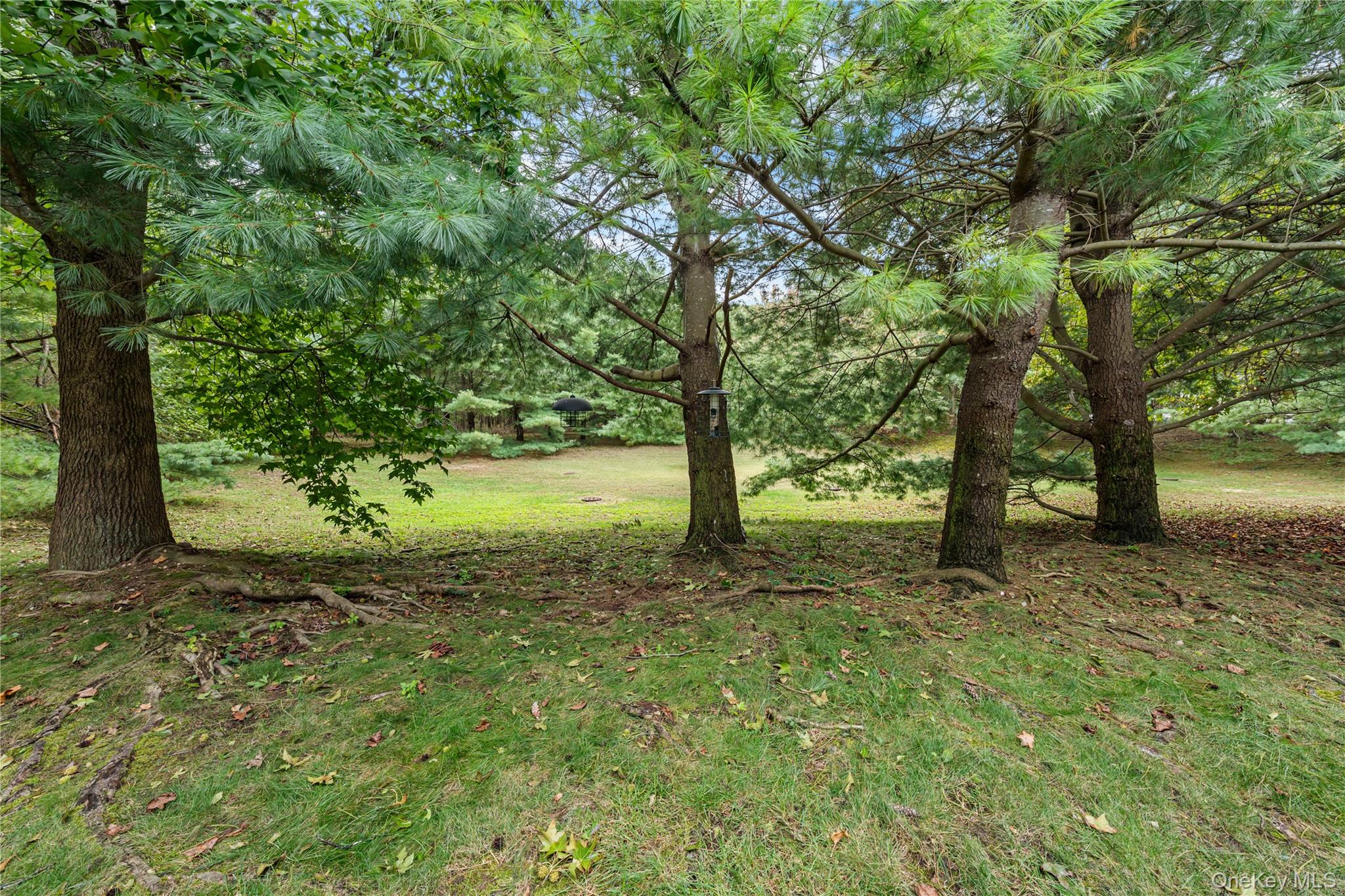 3 Victorian Lane Property Photo 17