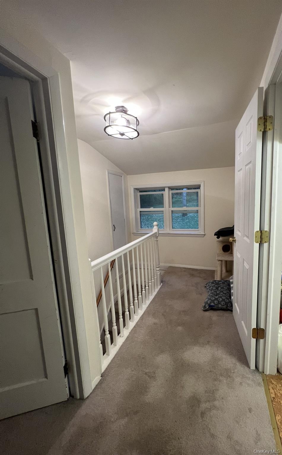 11 Amity Road Property Photo 12