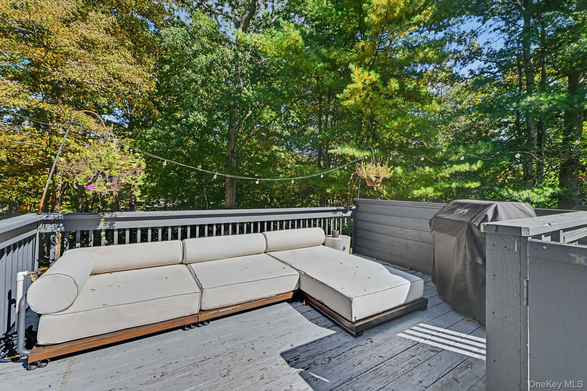 29 Hoyt Street Property Photo 19