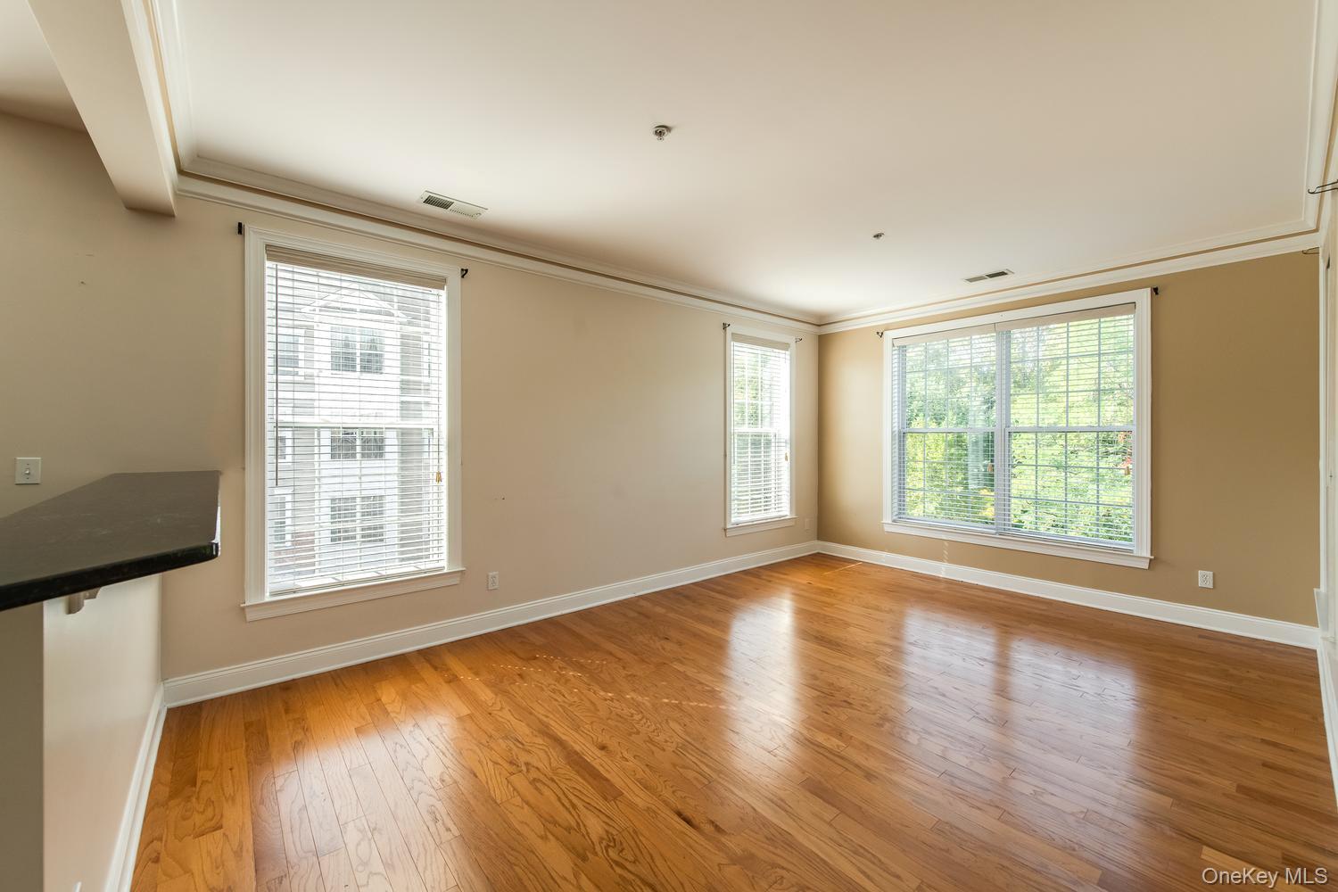 231 Regency Drive Property Photo 11