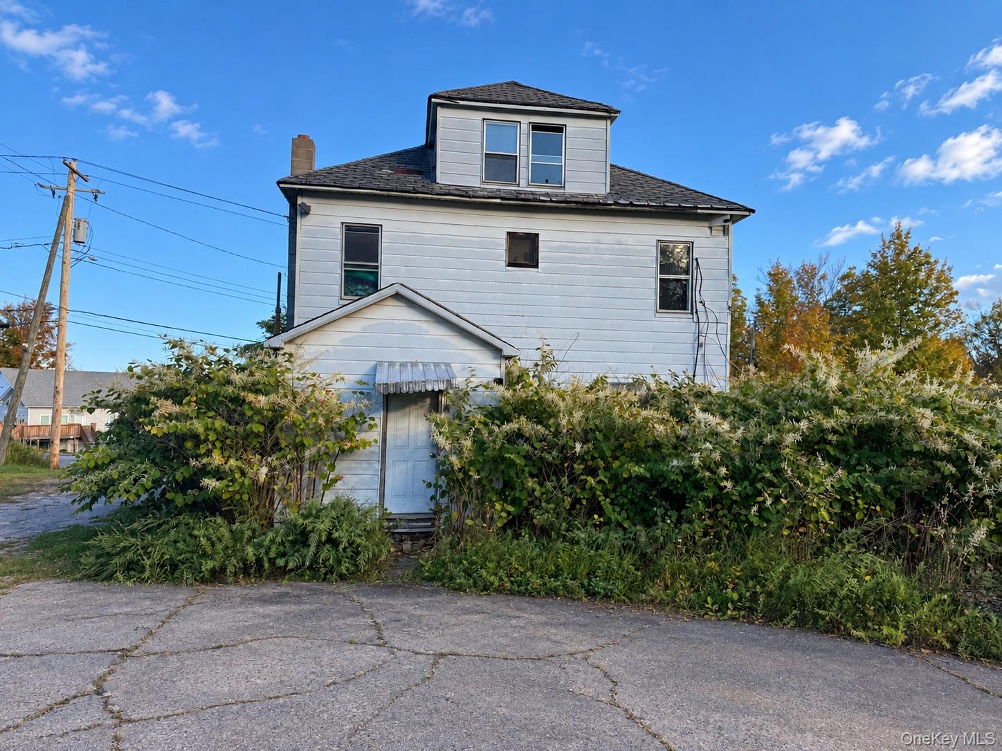 36 Waverly Avenue Property Photo 1