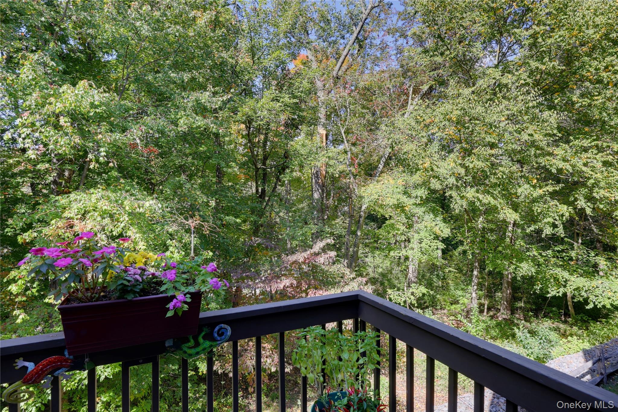 113 Woods Brooke Circle Property Photo 15