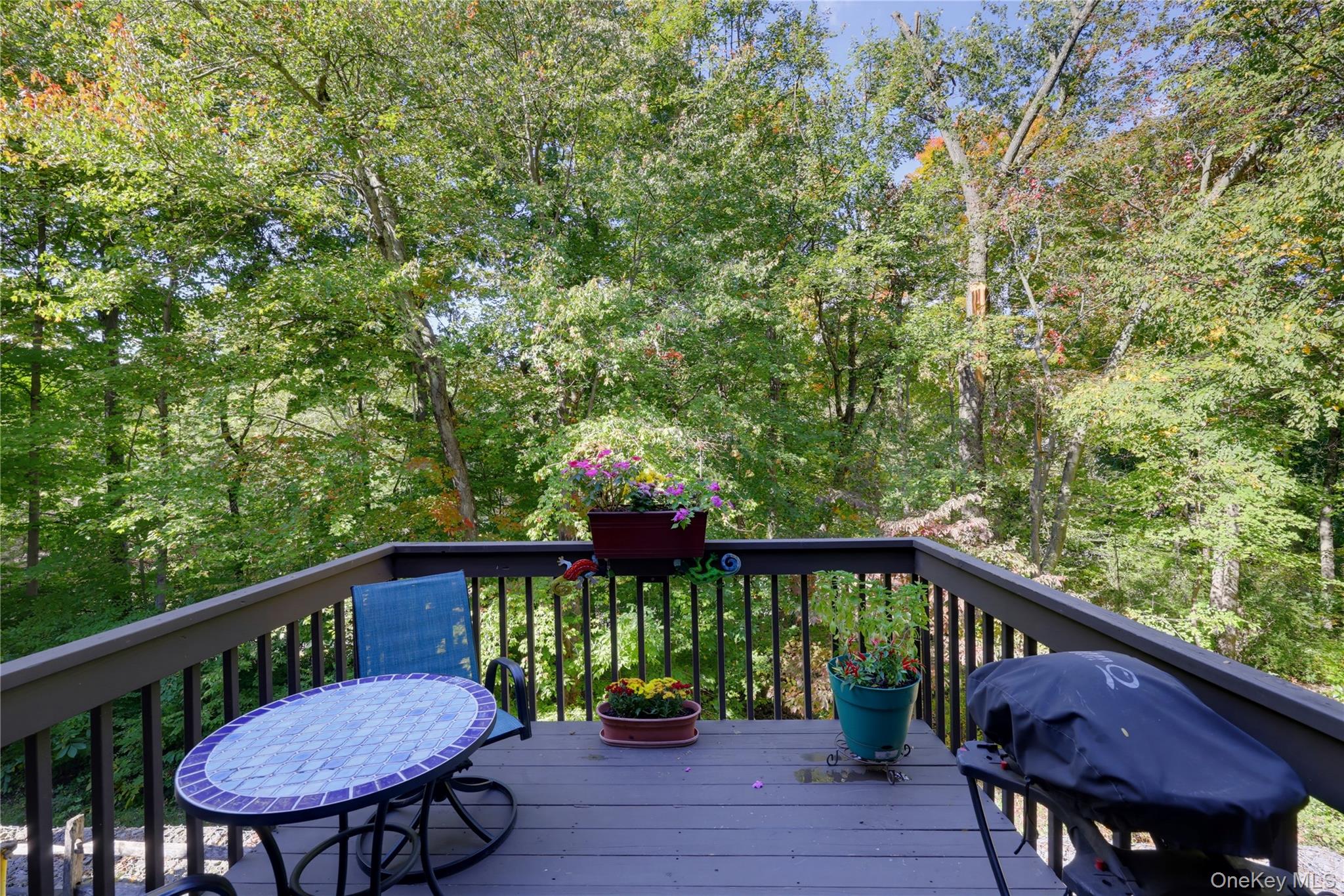 113 Woods Brooke Circle Property Photo 16