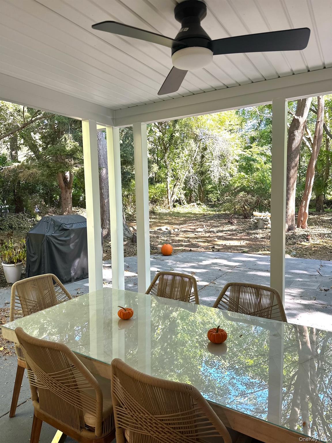 10 Moonedge Road Property Photo 42
