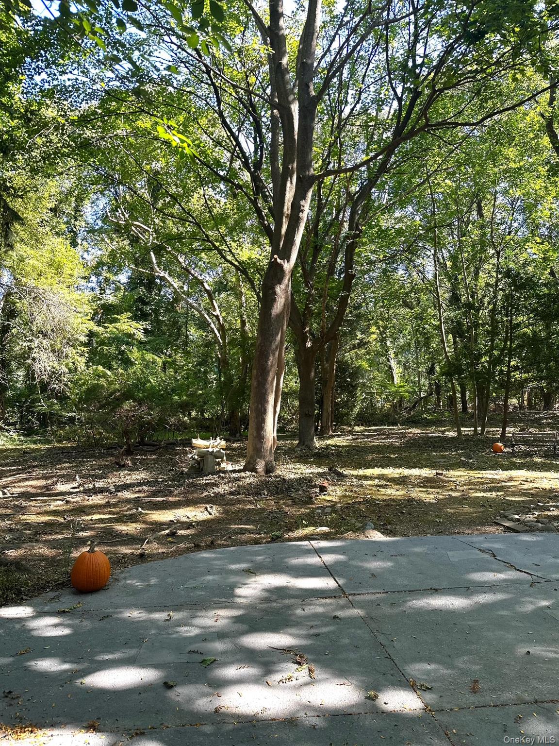 10 Moonedge Road Property Photo 43