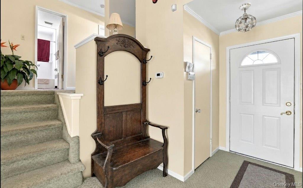16 Radnor Road Property Photo 4