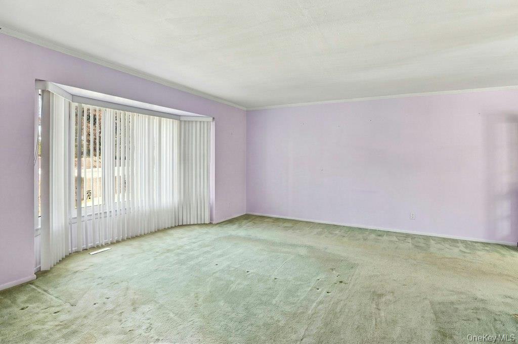 16 Radnor Road Property Photo 5