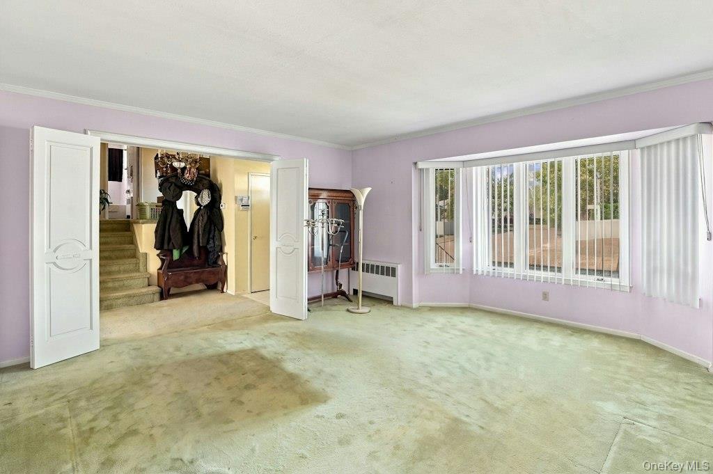 16 Radnor Road Property Photo 6