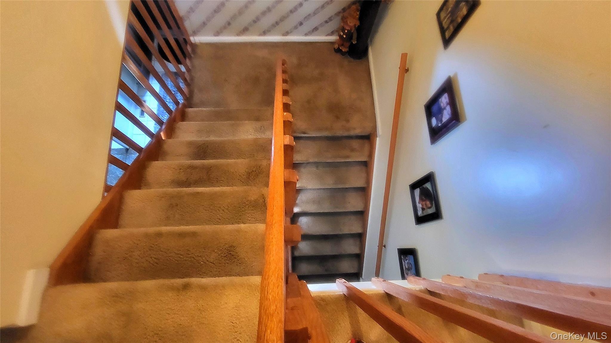 33 Amber Court Property Photo 14