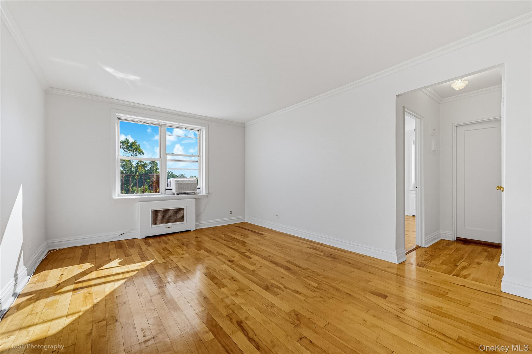 39-30 52nd Street 6f Property Photo 6