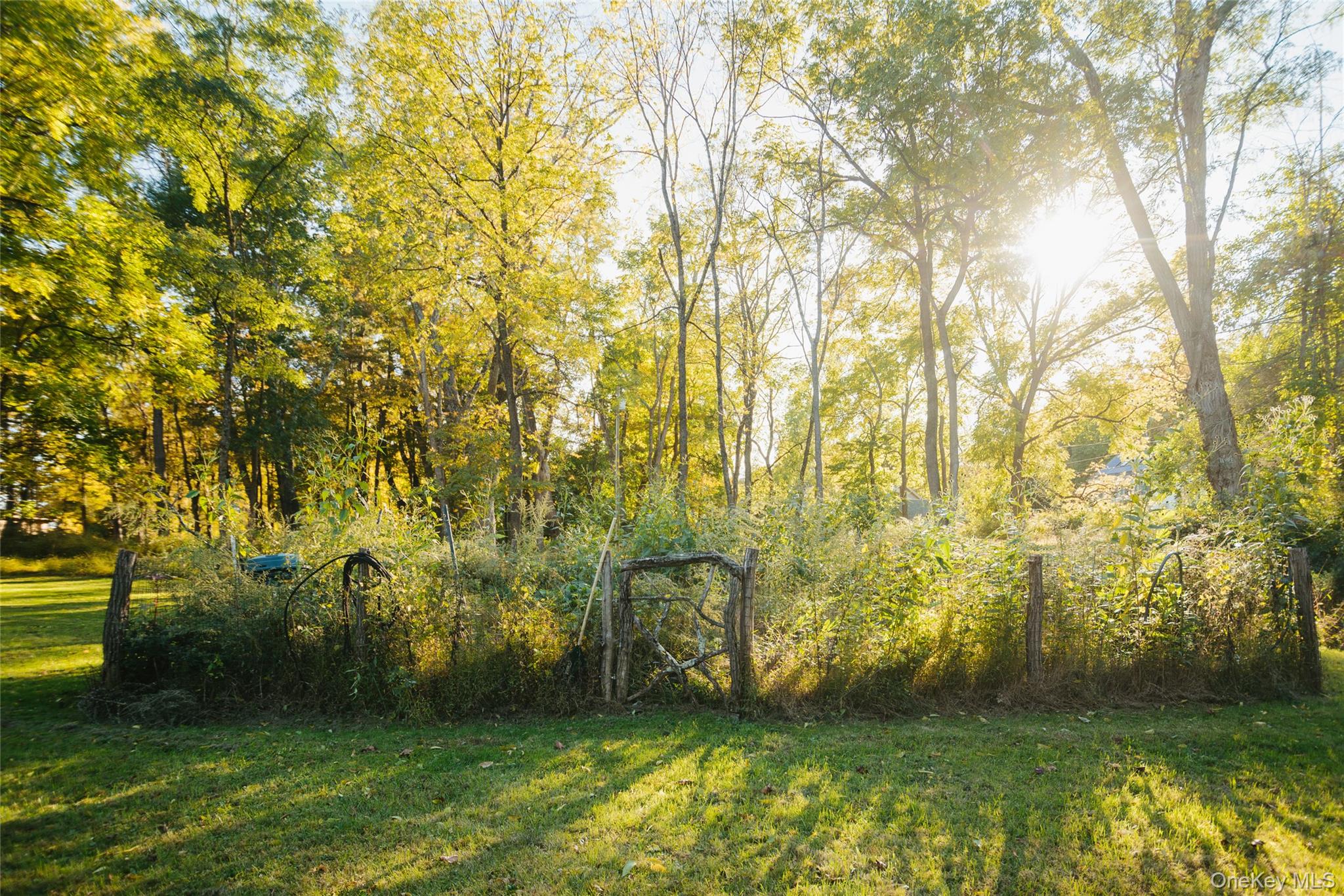 1040 Creek Locks Road Property Photo 28