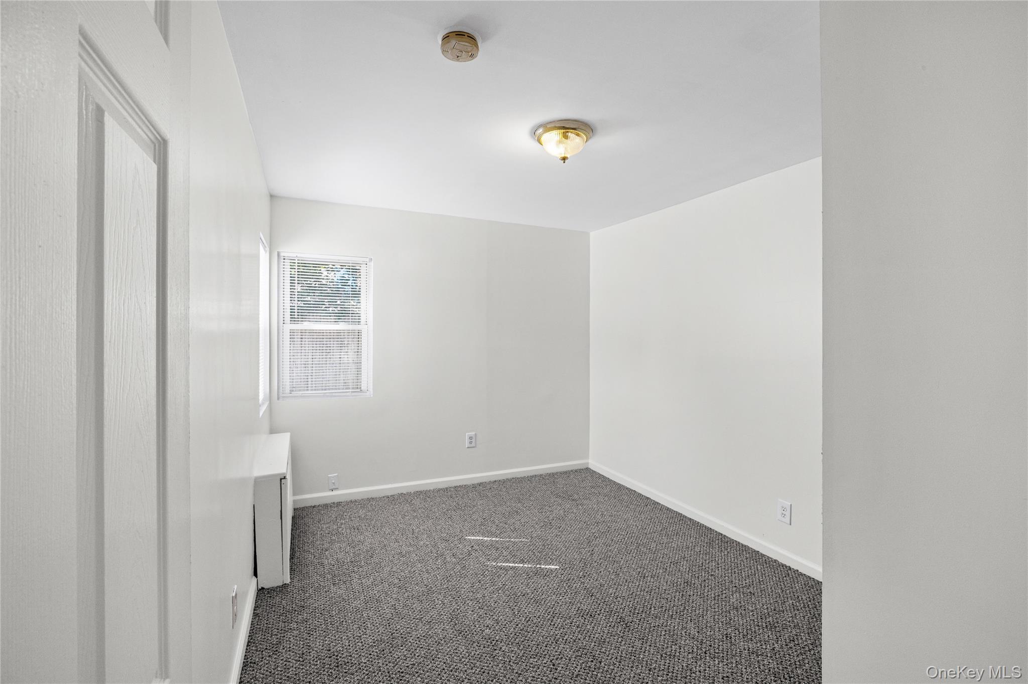 20 Buchanan Avenue Property Photo 18